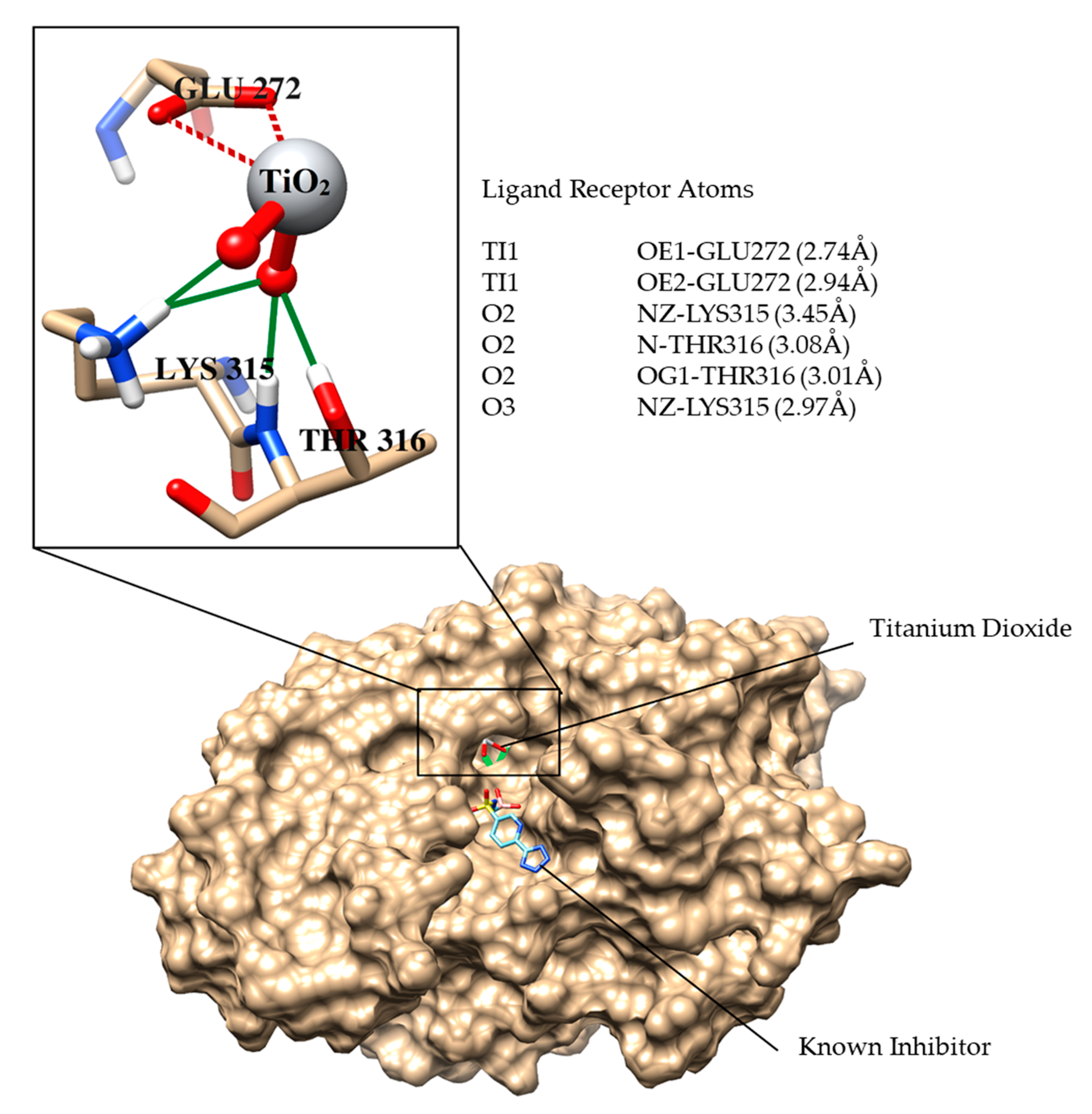 Molecules 25 04468 g019 Molecules 25 04468 g019