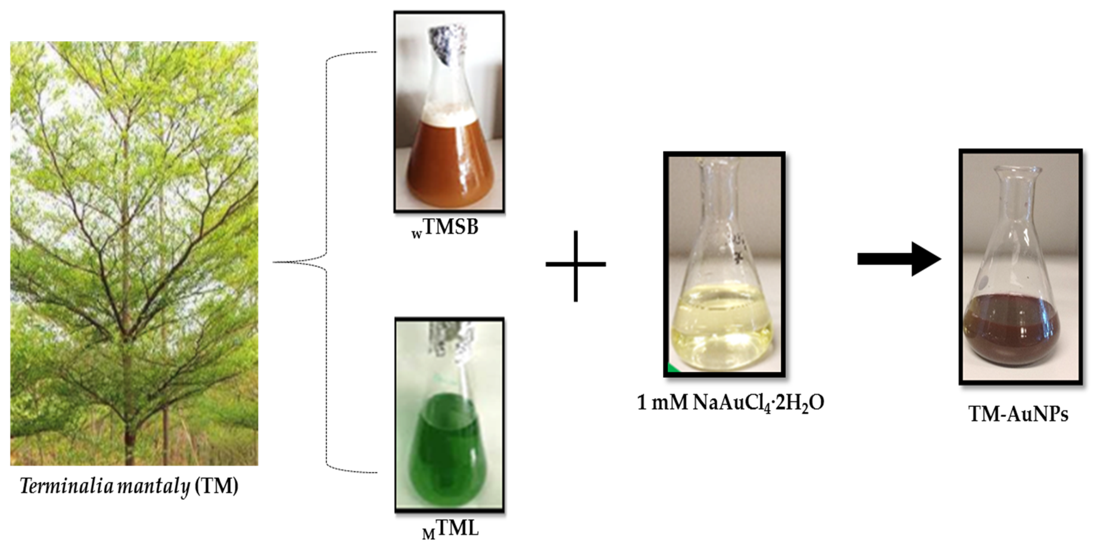 Molecules 25 04469 g001 Molecules 25 04469 g001