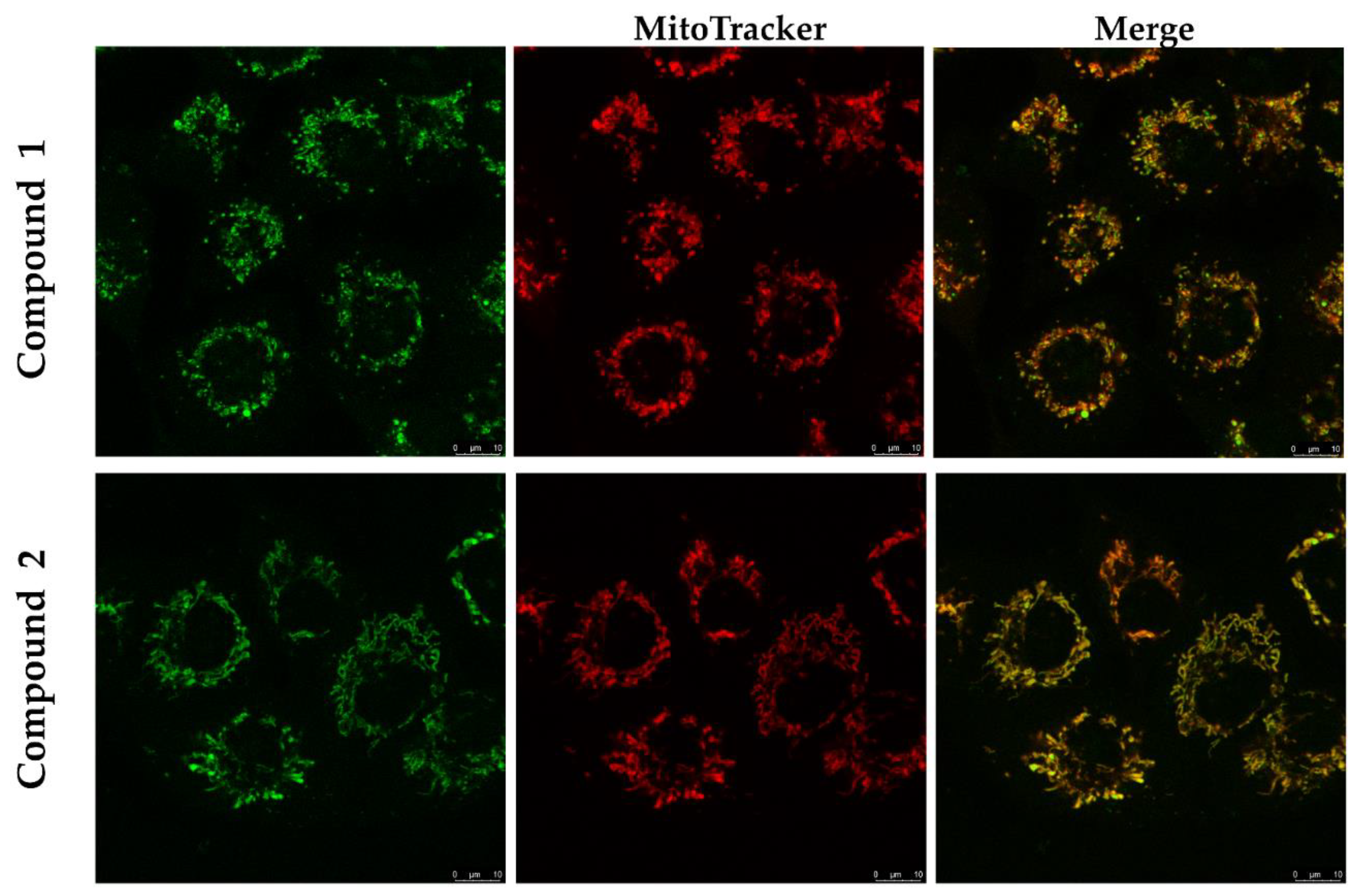 Molecules 25 04470 g005