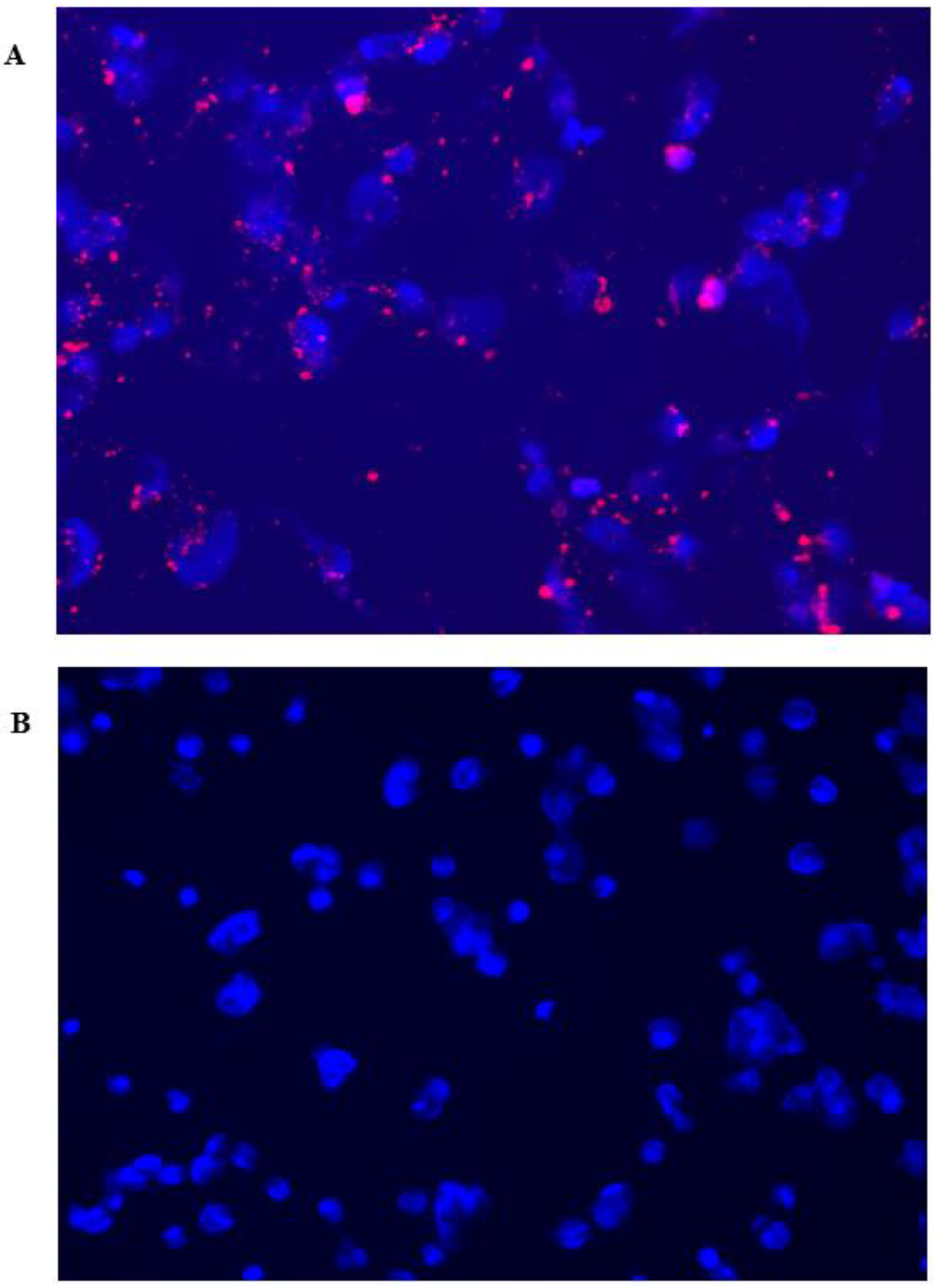 Molecules 25 04471 g008