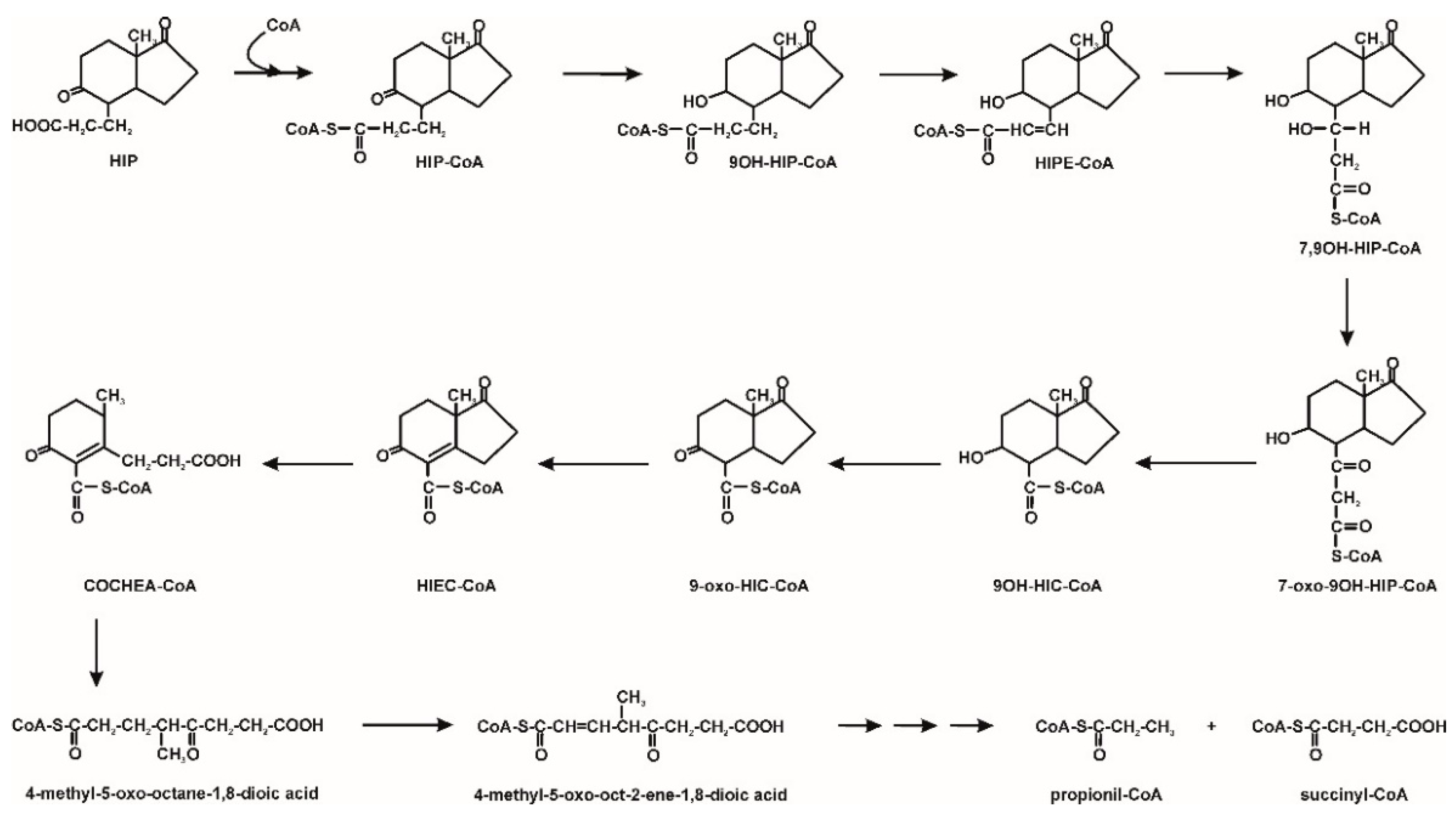 Molecules 25 04473 g003 Molecules 25 04473 g003