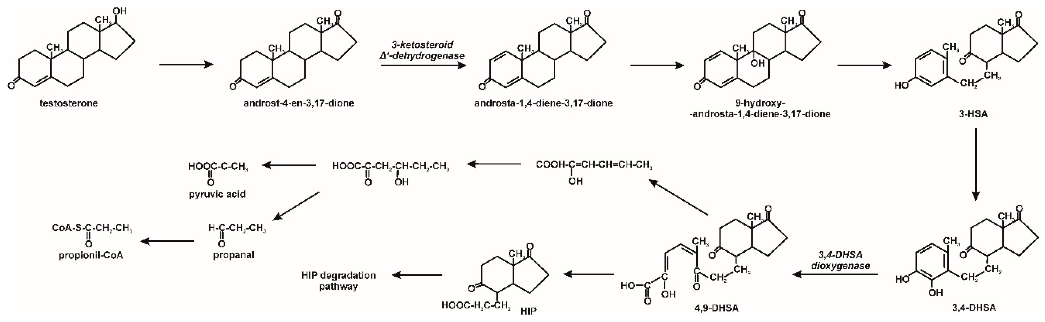 Molecules 25 04473 g004 Molecules 25 04473 g004
