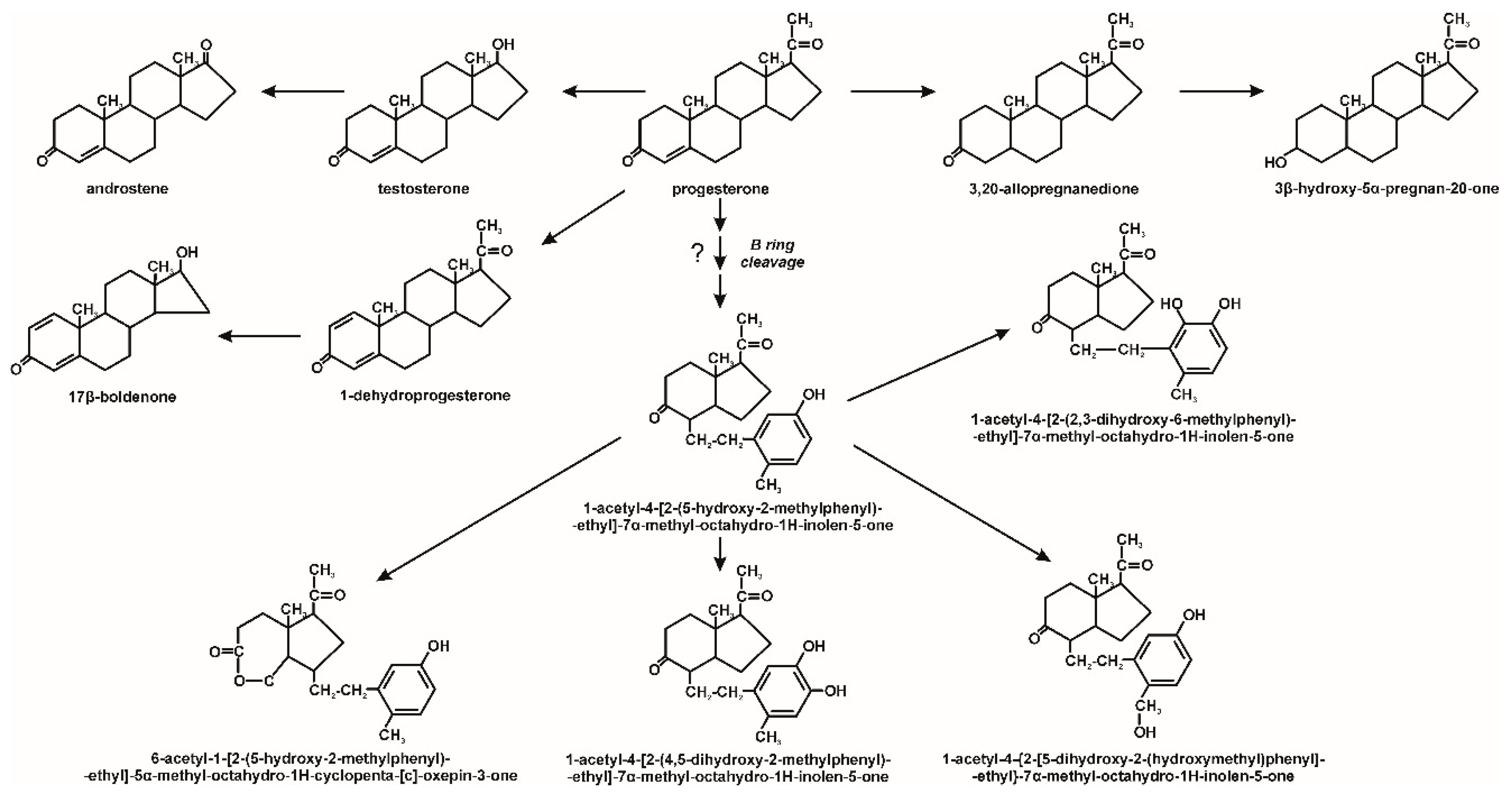 Molecules 25 04473 g005 Molecules 25 04473 g005