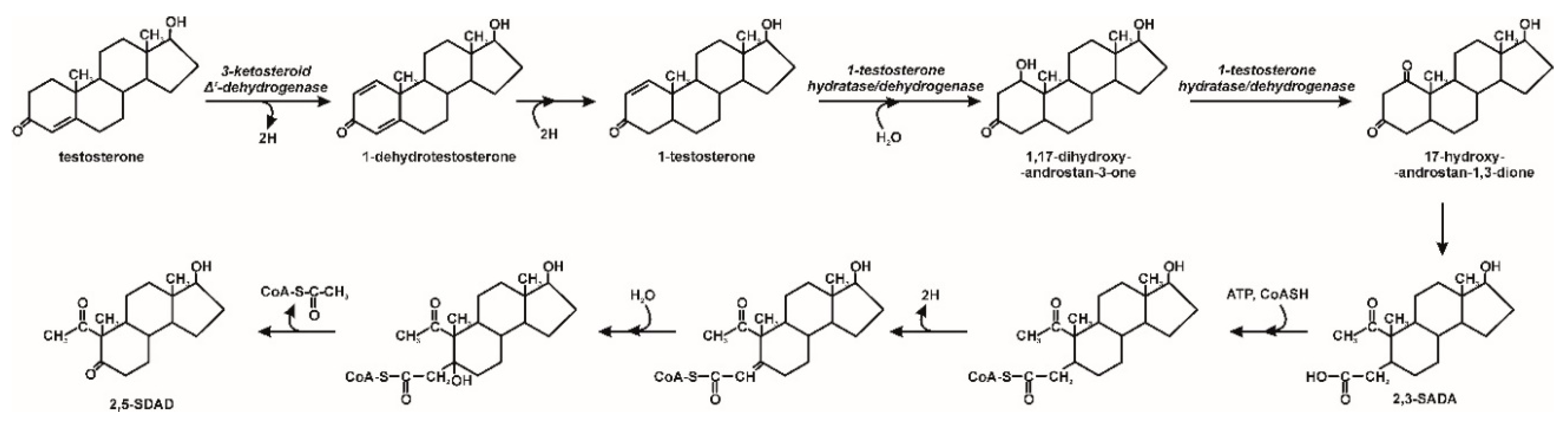 Molecules 25 04473 g006 Molecules 25 04473 g006