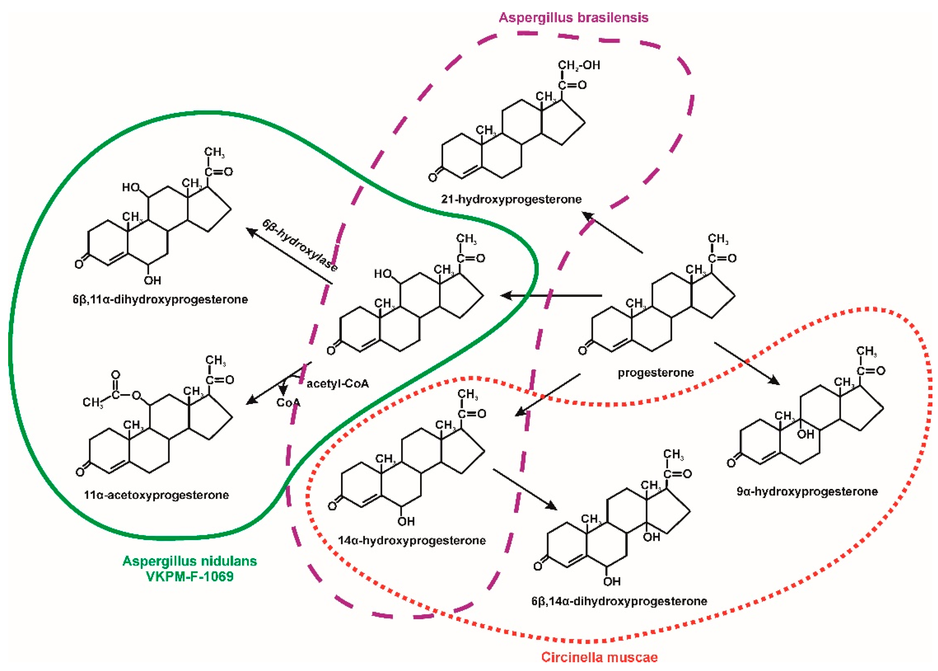 Molecules 25 04473 g007