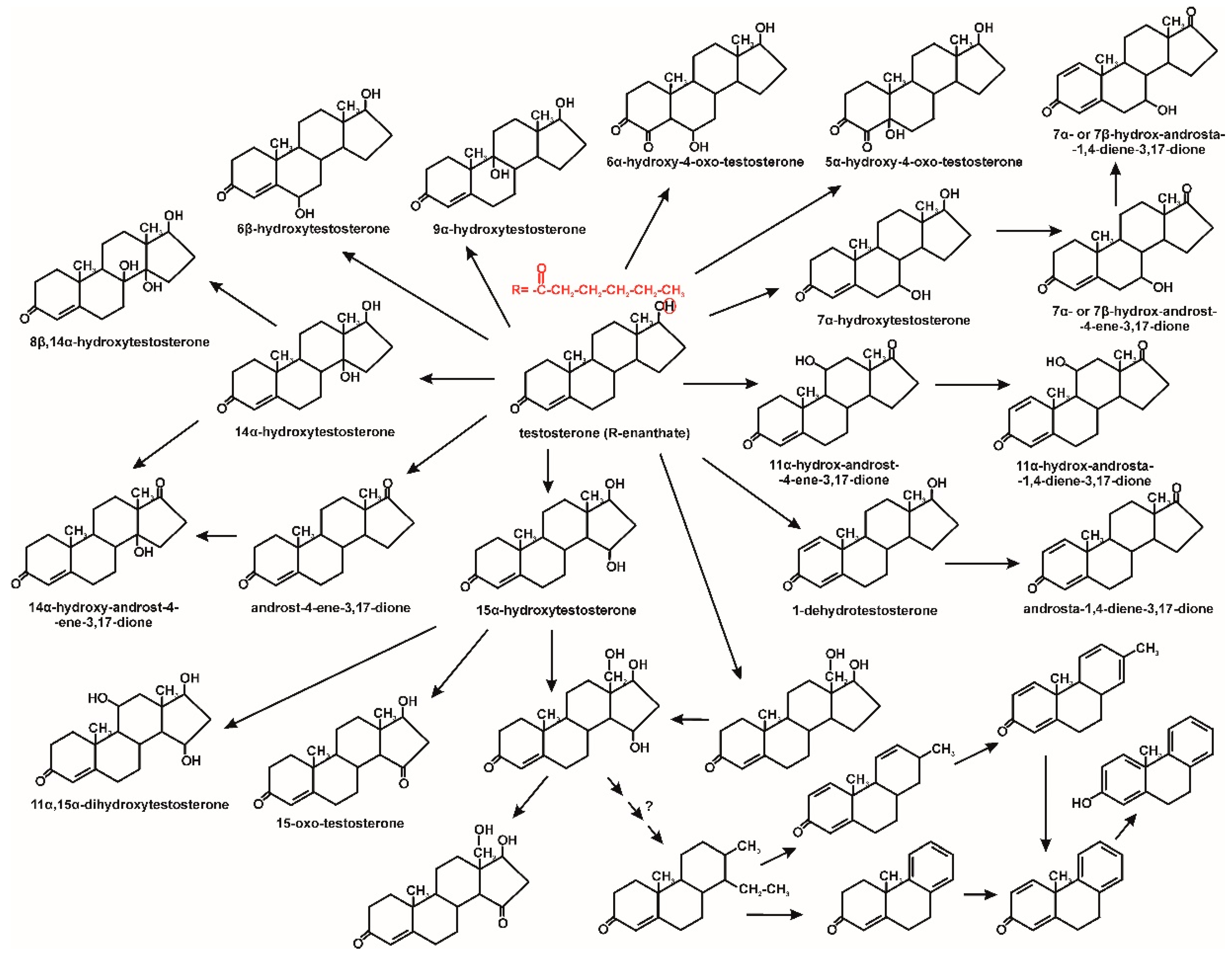 Molecules 25 04473 g008