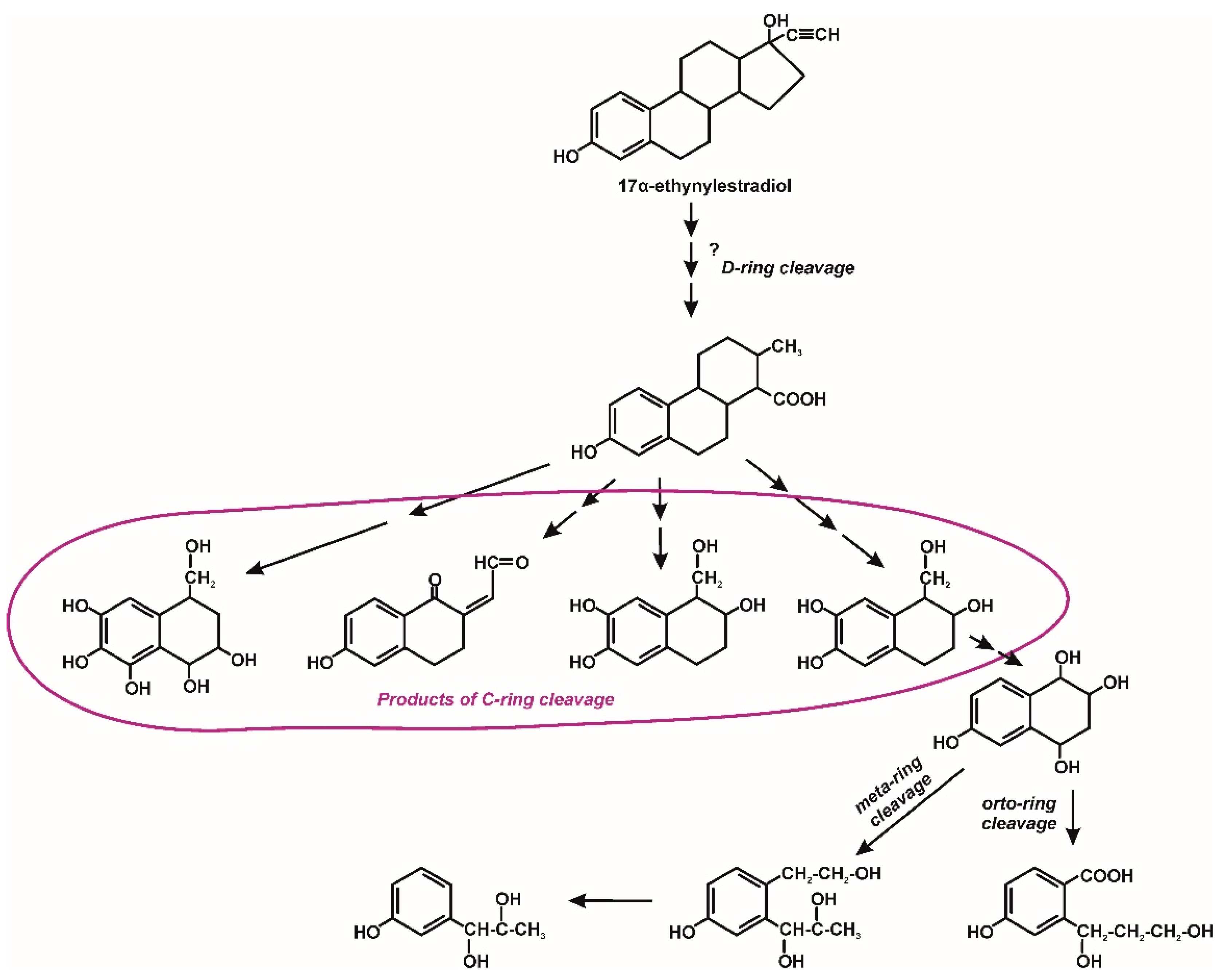 Molecules 25 04473 g009 Molecules 25 04473 g009