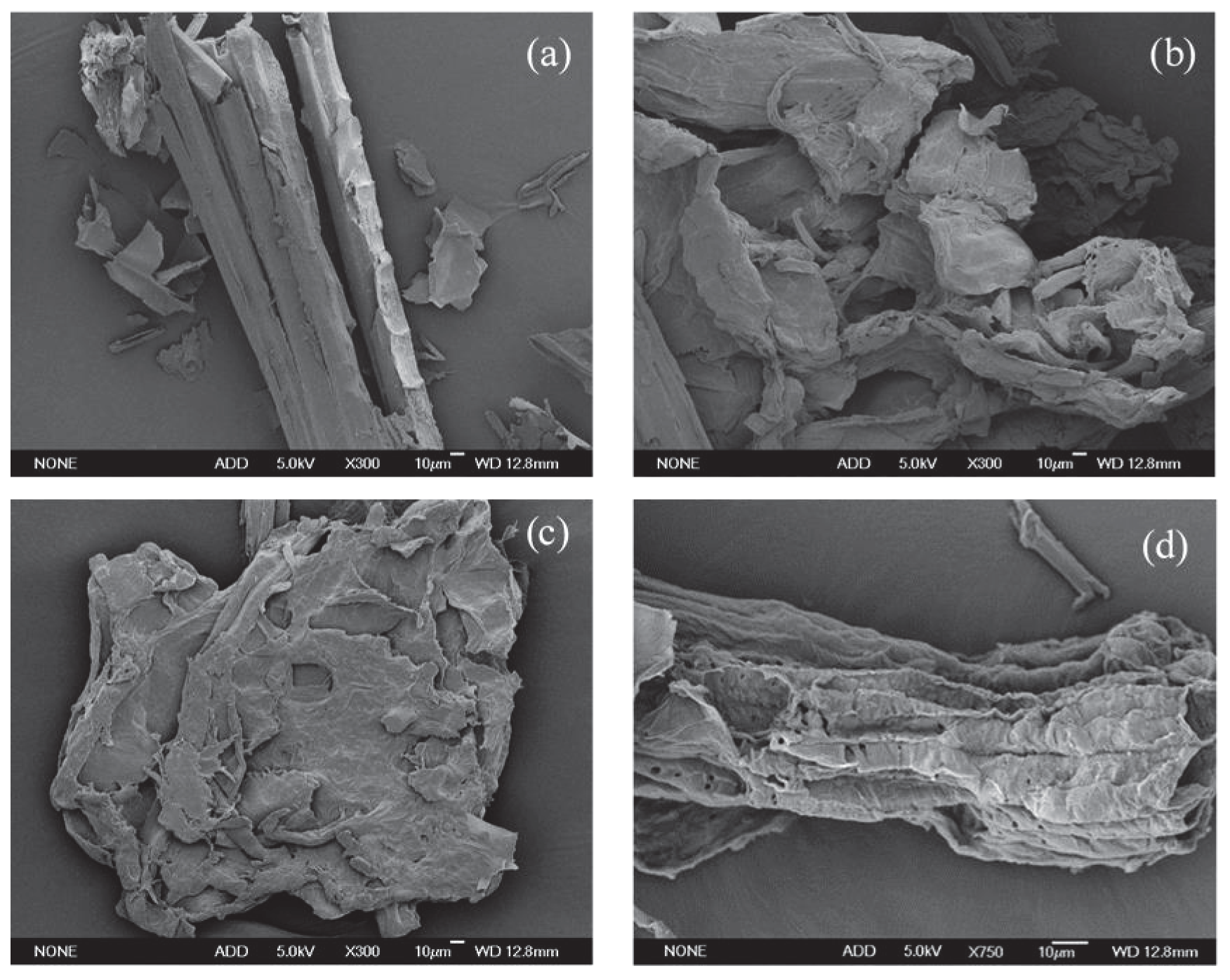 Molecules 25 04475 g006