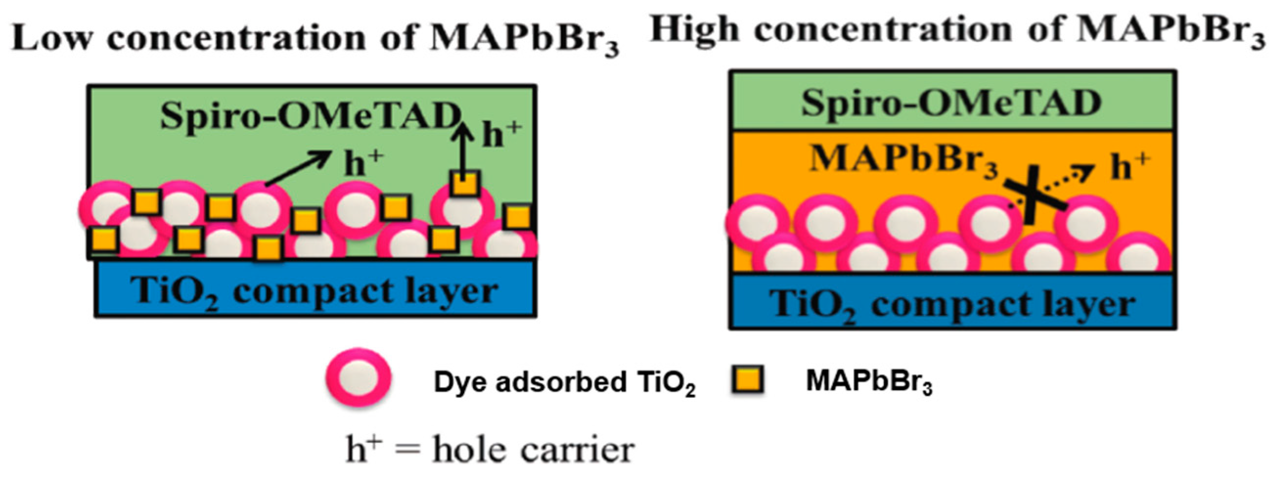 Molecules 25 04478 g011 Molecules 25 04478 g011