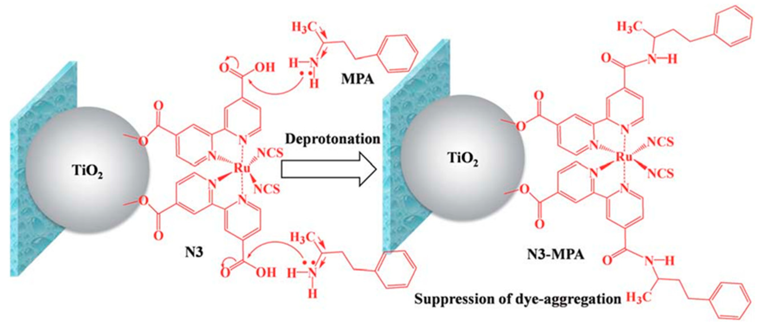 Molecules 25 04478 g012 Molecules 25 04478 g012