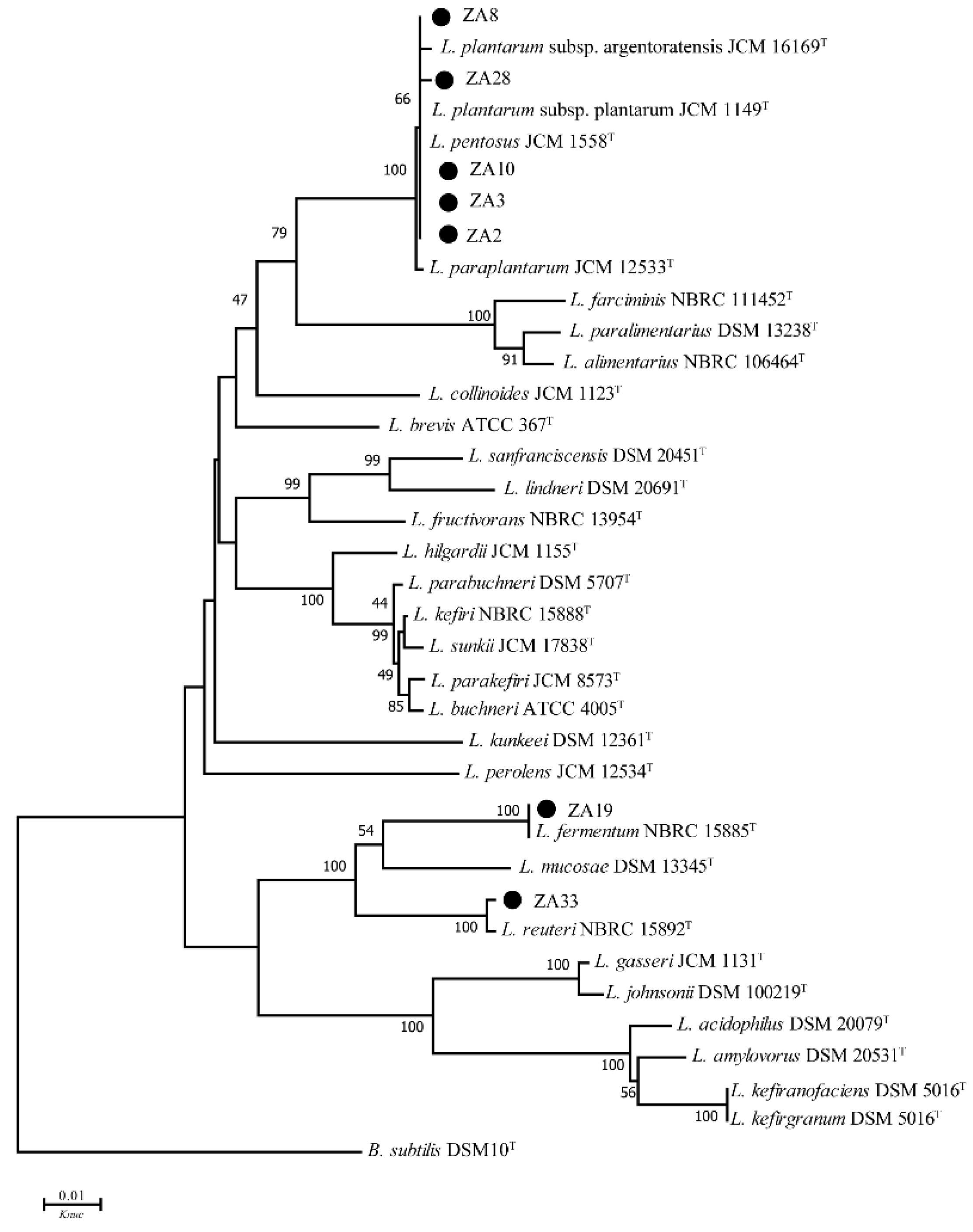 Molecules 25 04481 g001