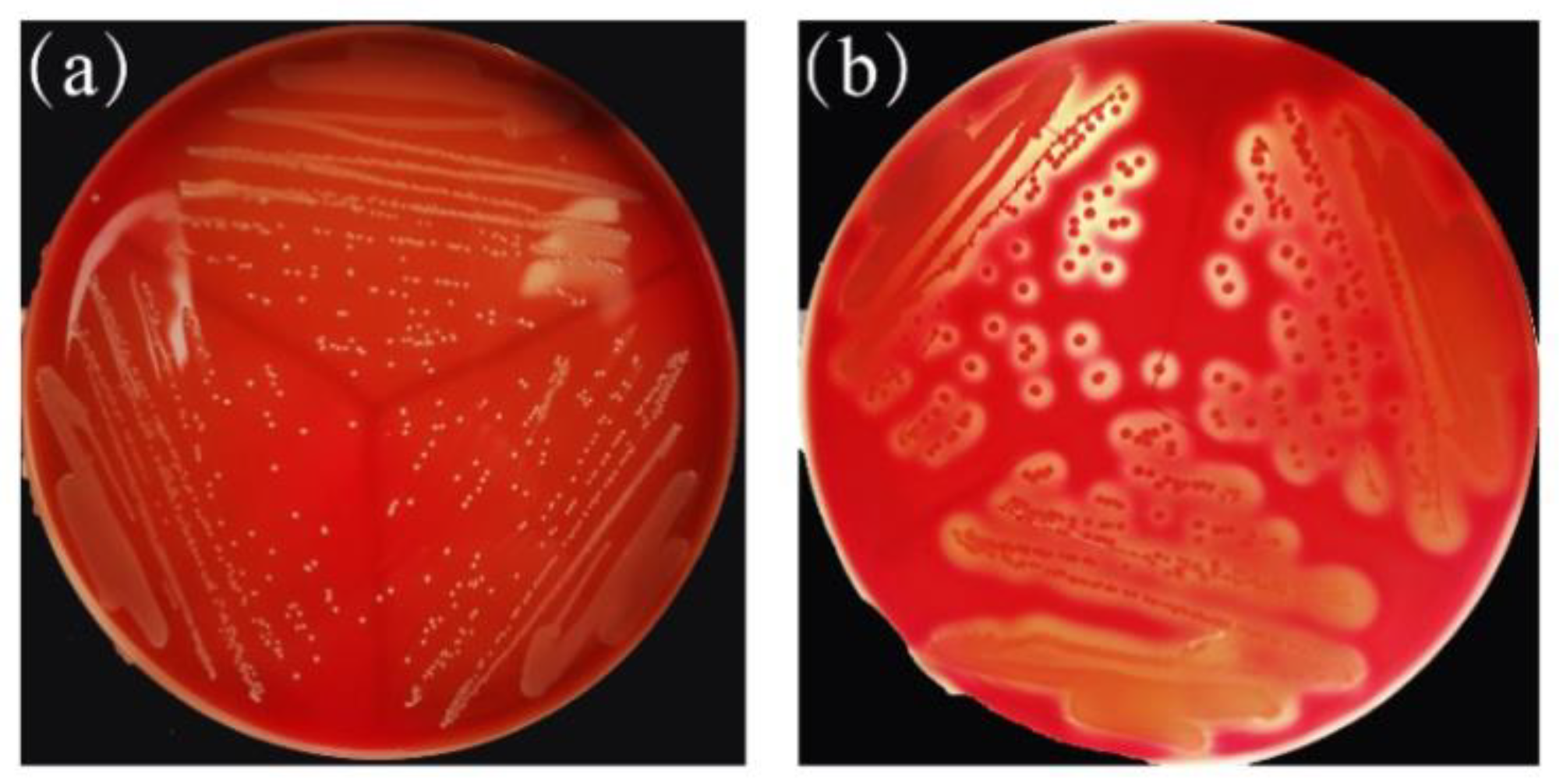 Molecules 25 04481 g008