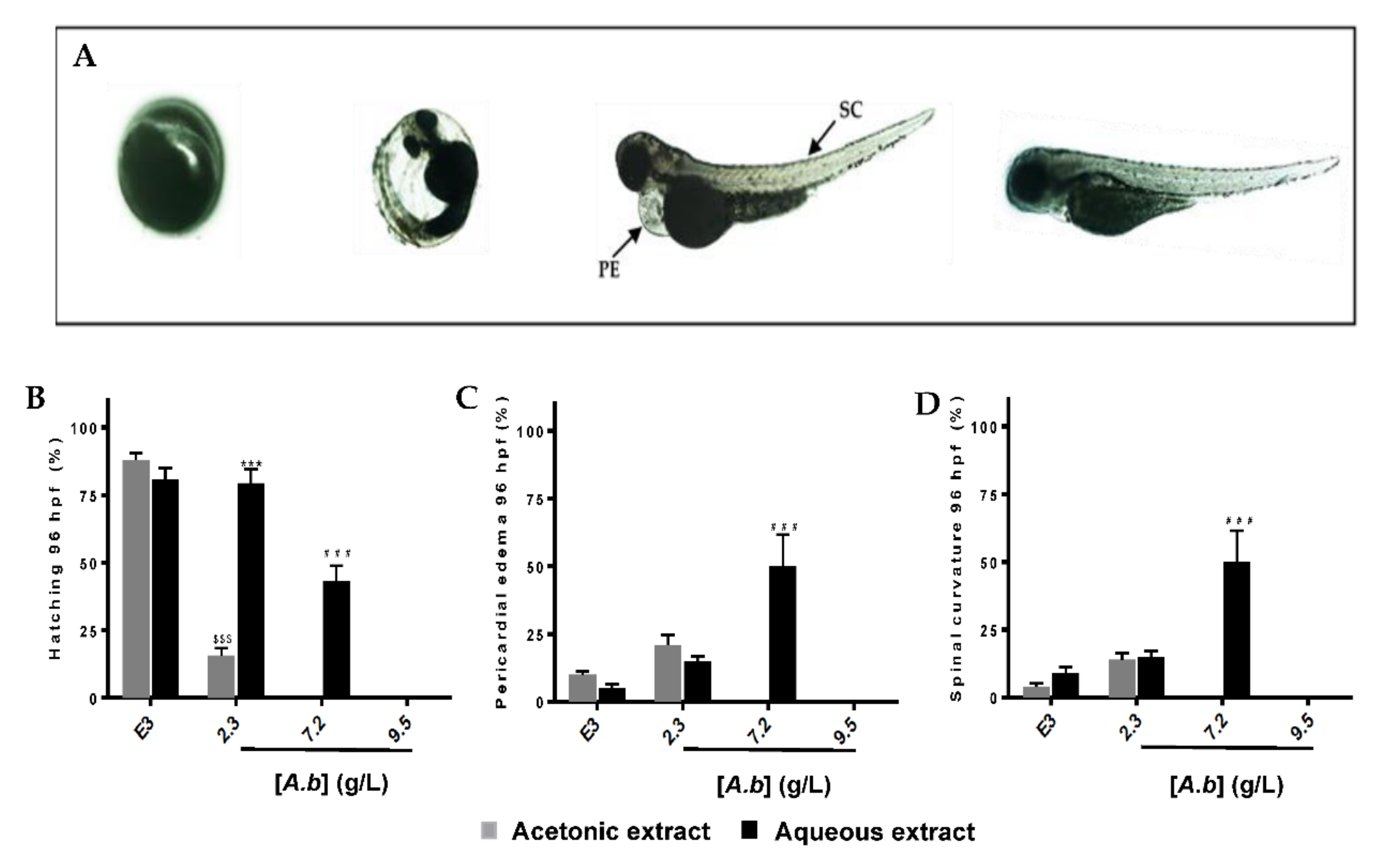 Molecules 25 04482 g004
