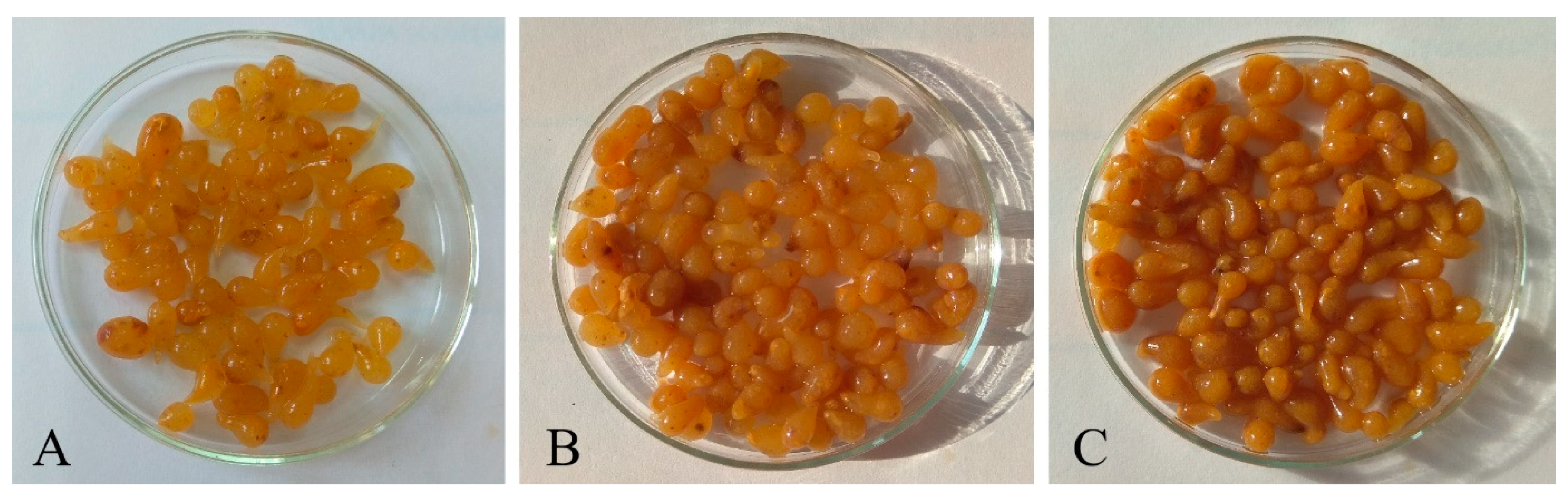 Molecules 25 04483 g002