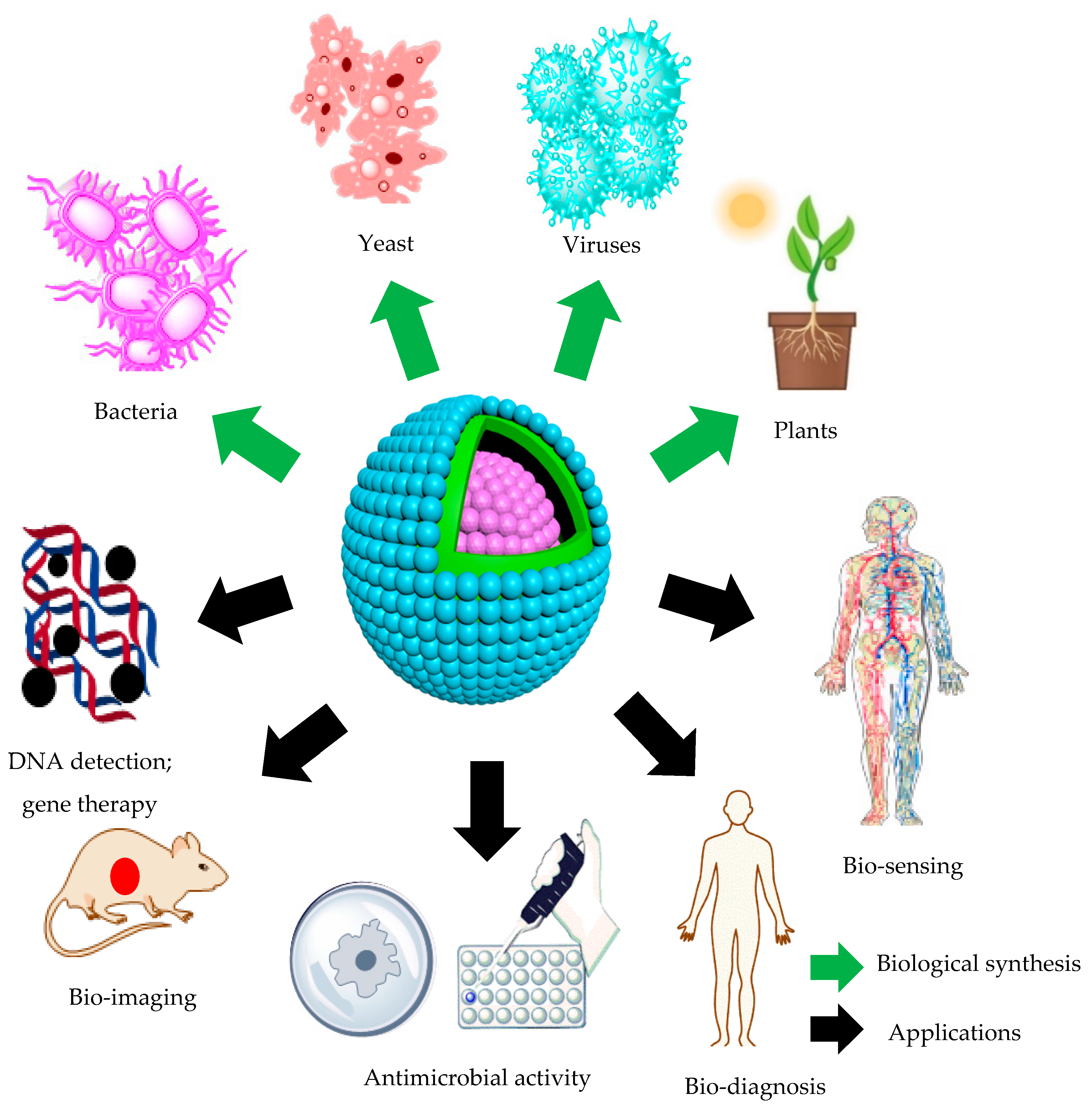 Molecules 25 04486 g004