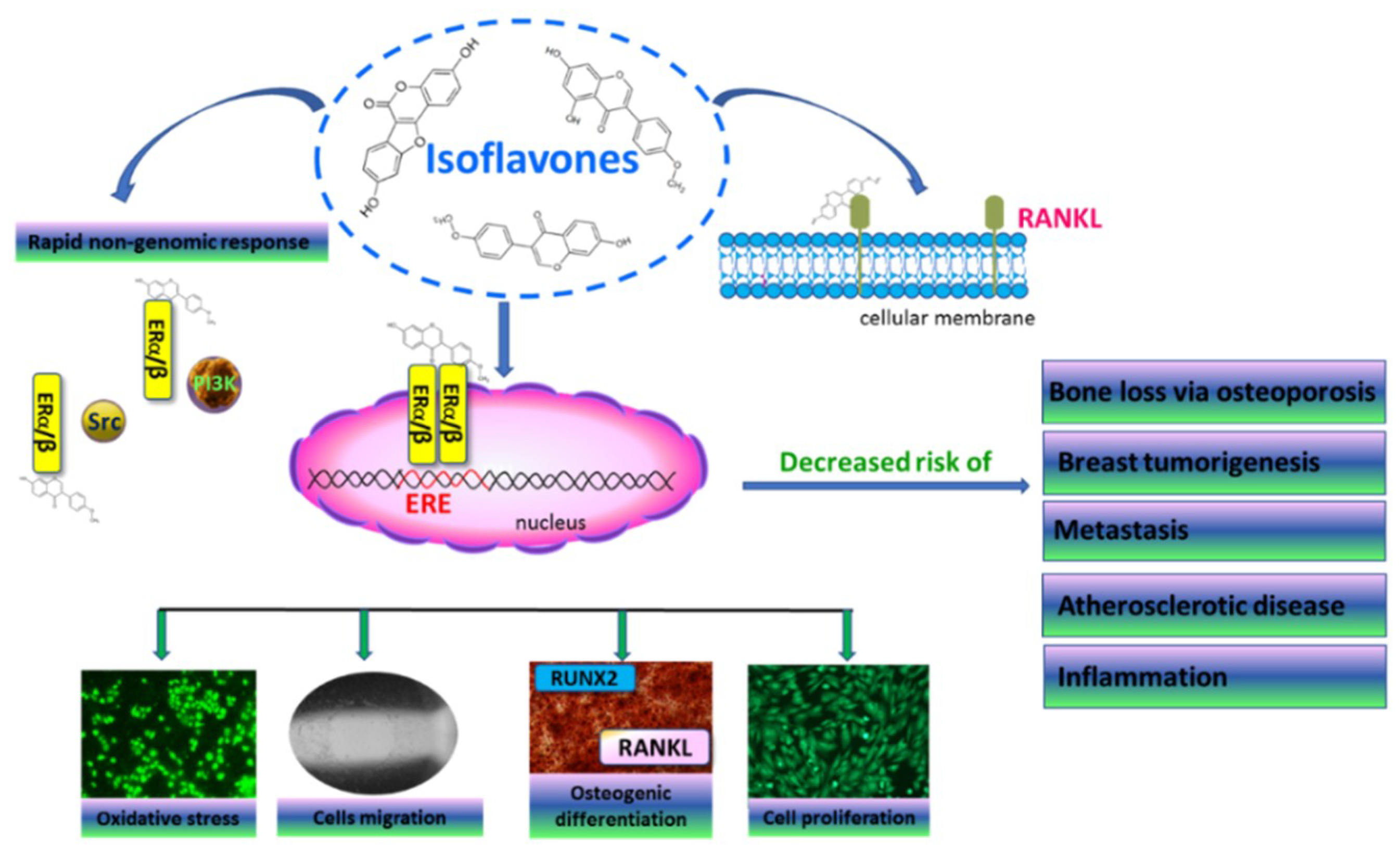 Molecules 25 04490 g001