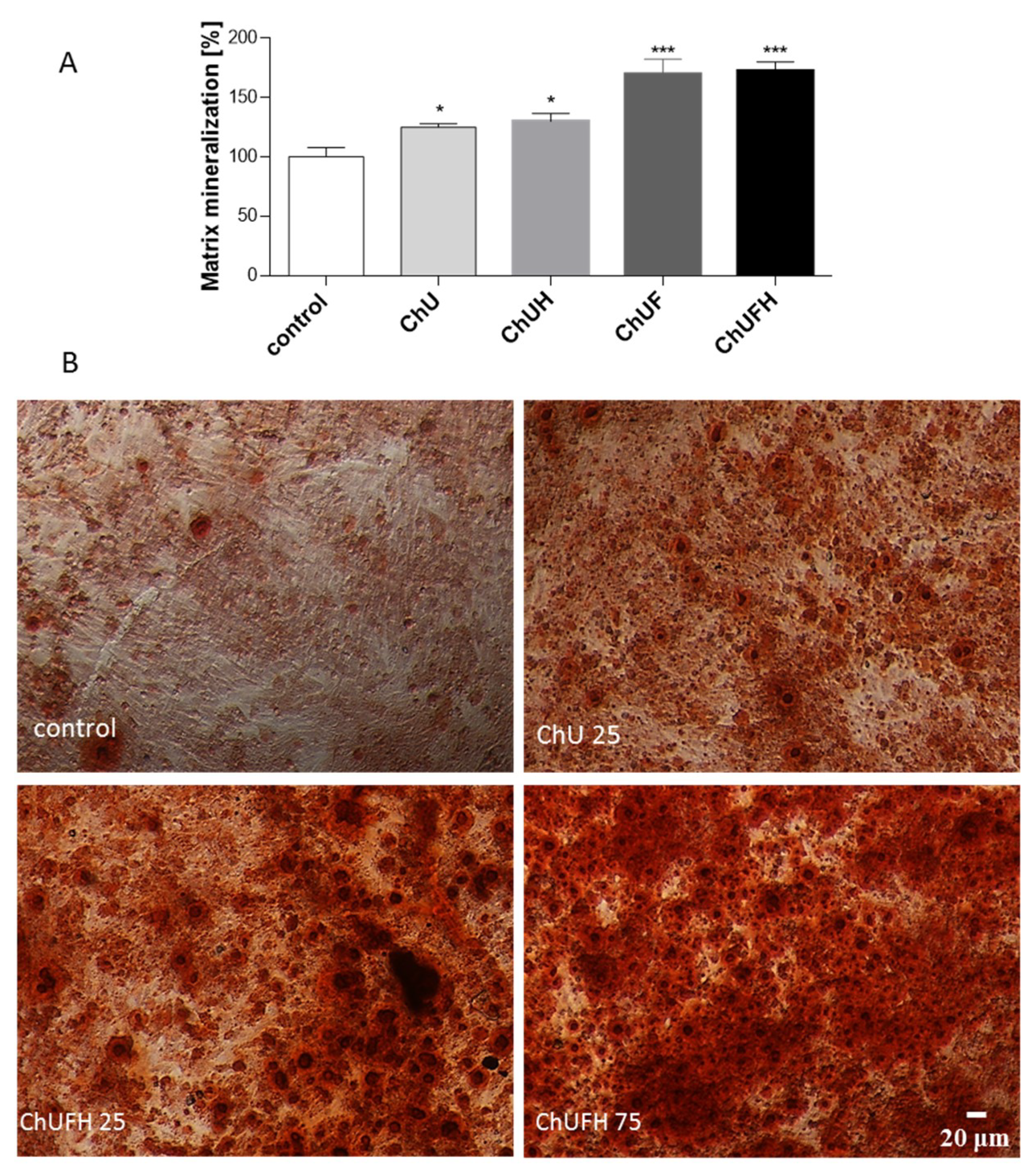 Molecules 25 04490 g007