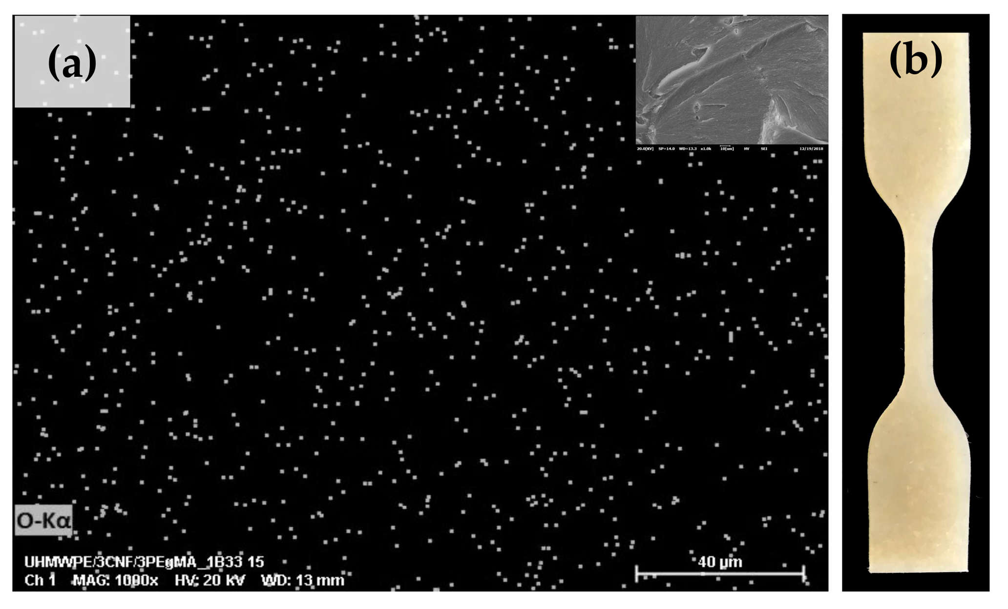 Molecules 25 04498 g008 Molecules 25 04498 g008