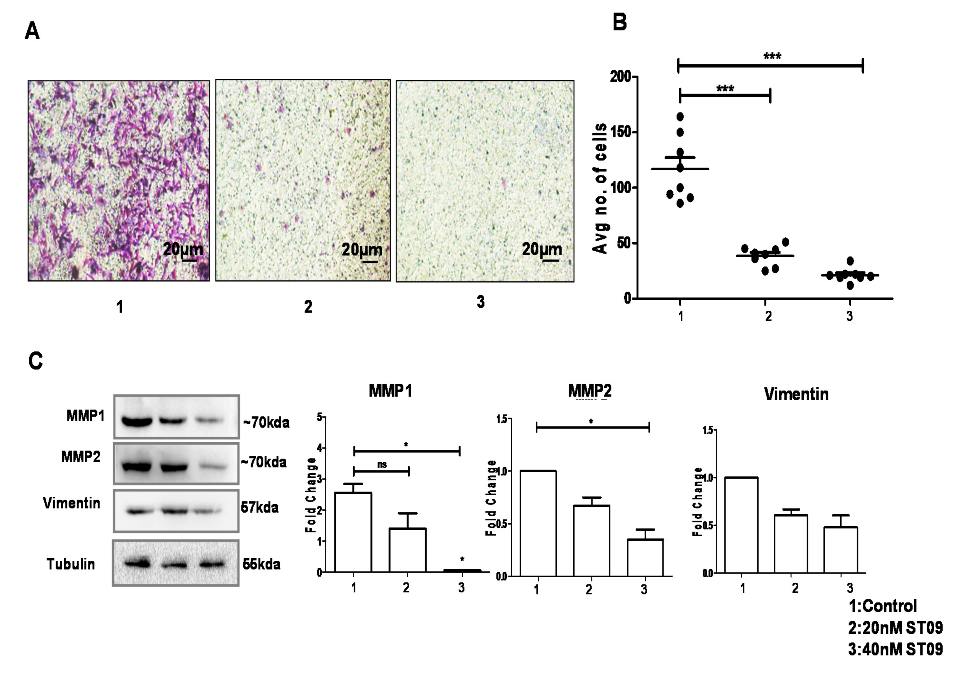 Molecules 25 04499 g007 Molecules 25 04499 g007