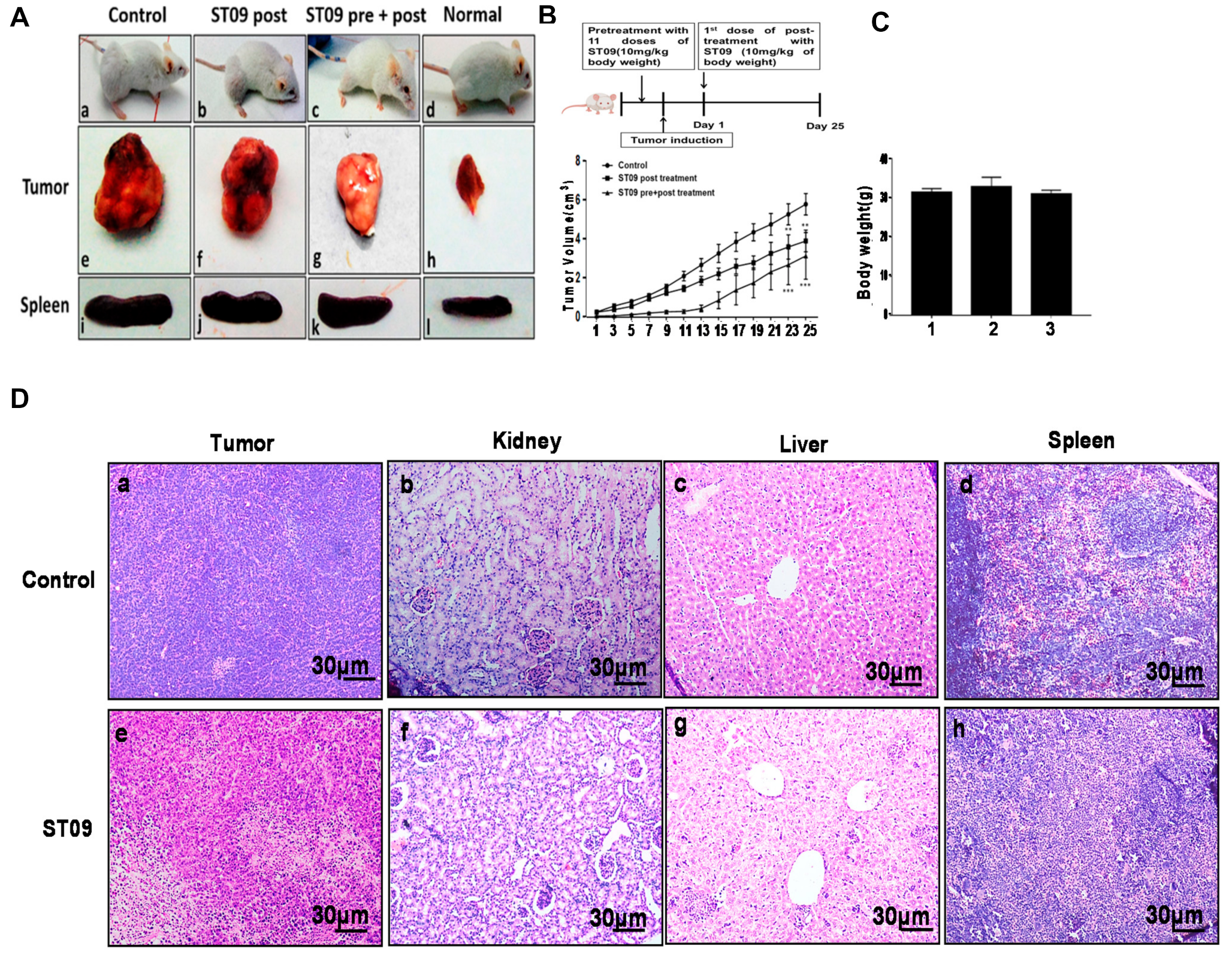 Molecules 25 04499 g008a Molecules 25 04499 g008a