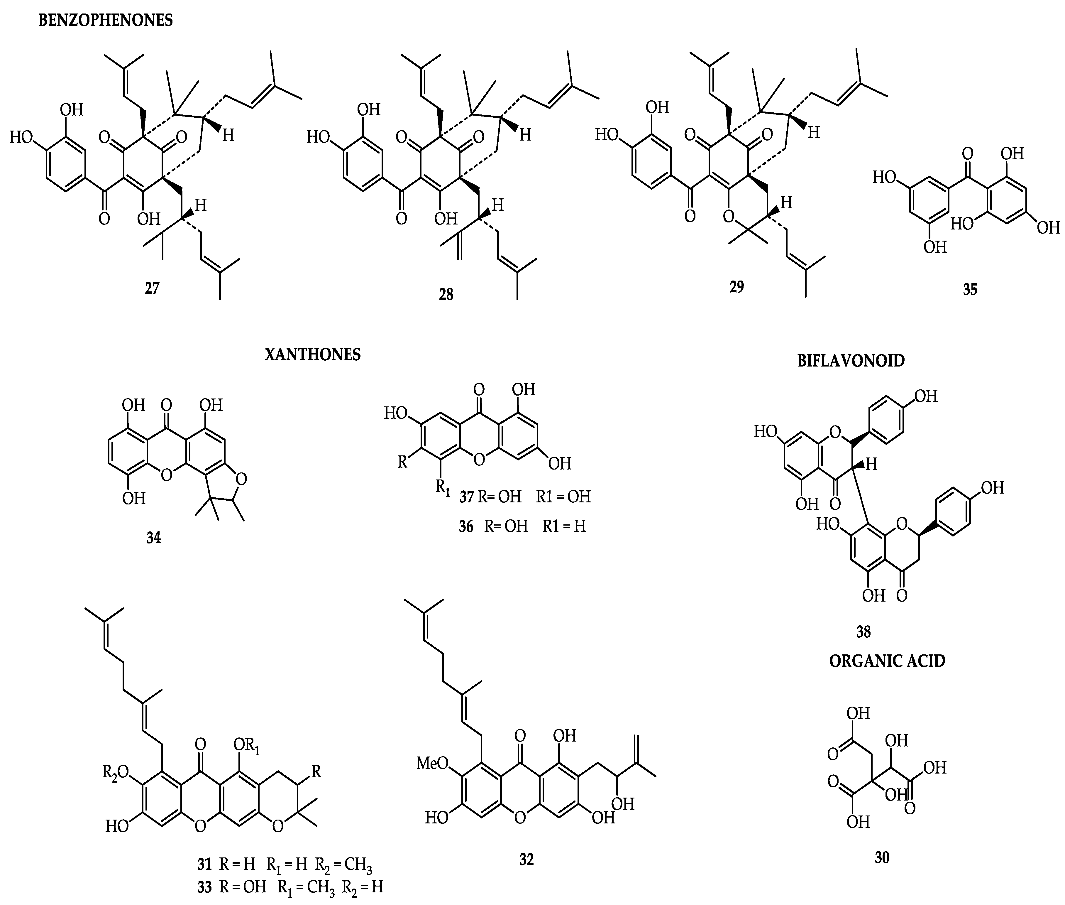 Molecules 25 04513 g003