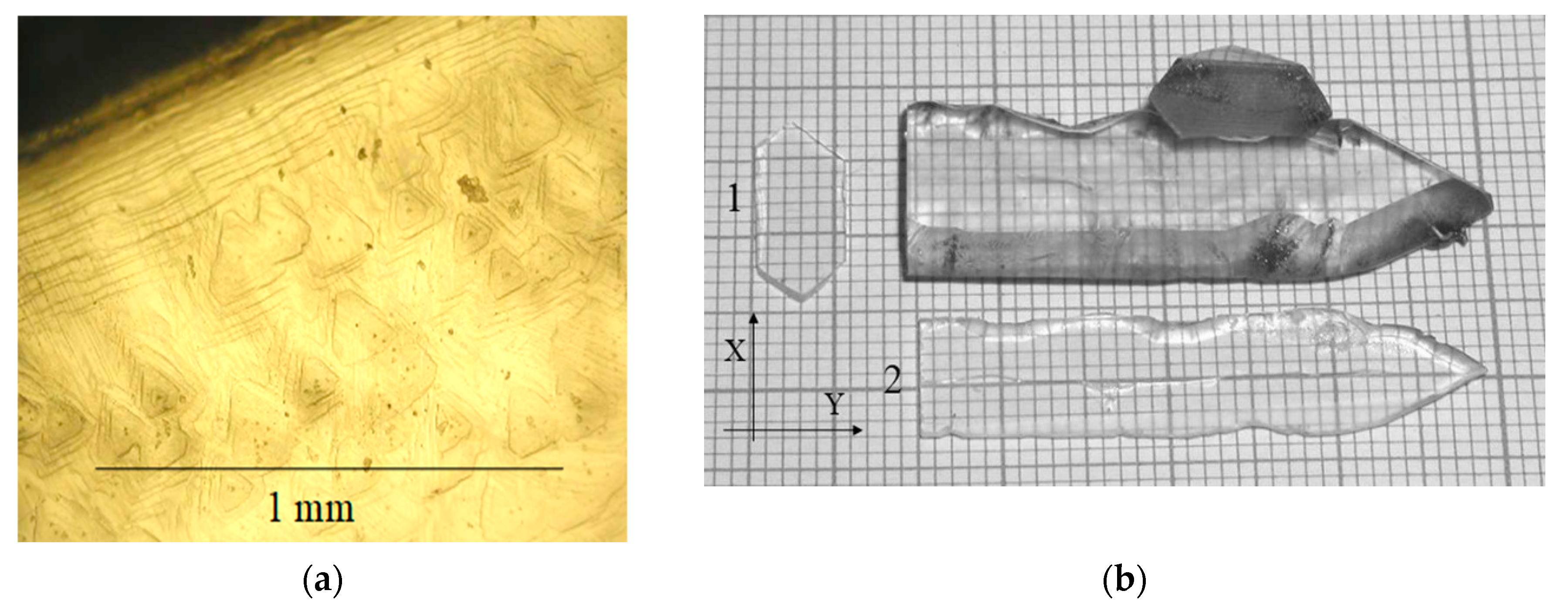 Molecules 25 04518 g004 Molecules 25 04518 g004