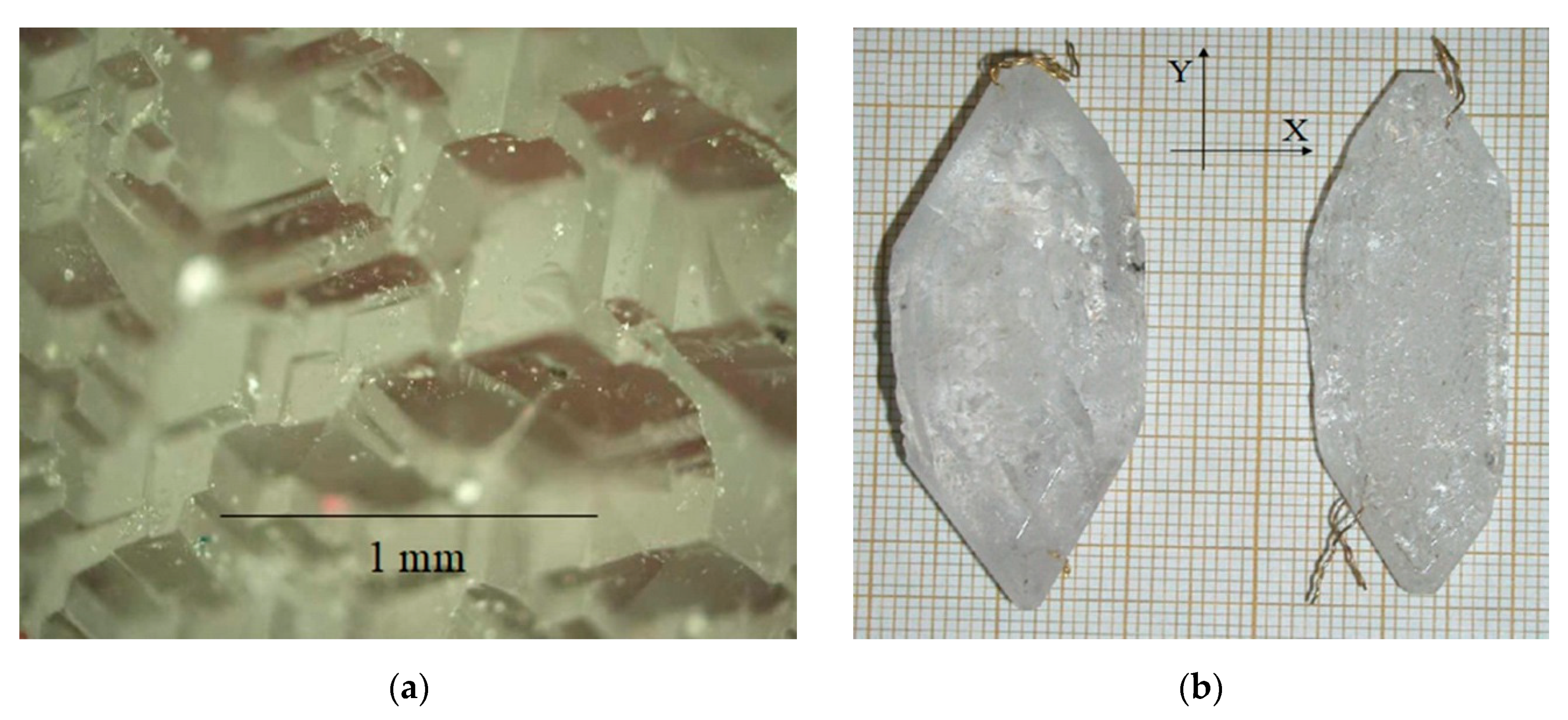 Molecules 25 04518 g005 Molecules 25 04518 g005
