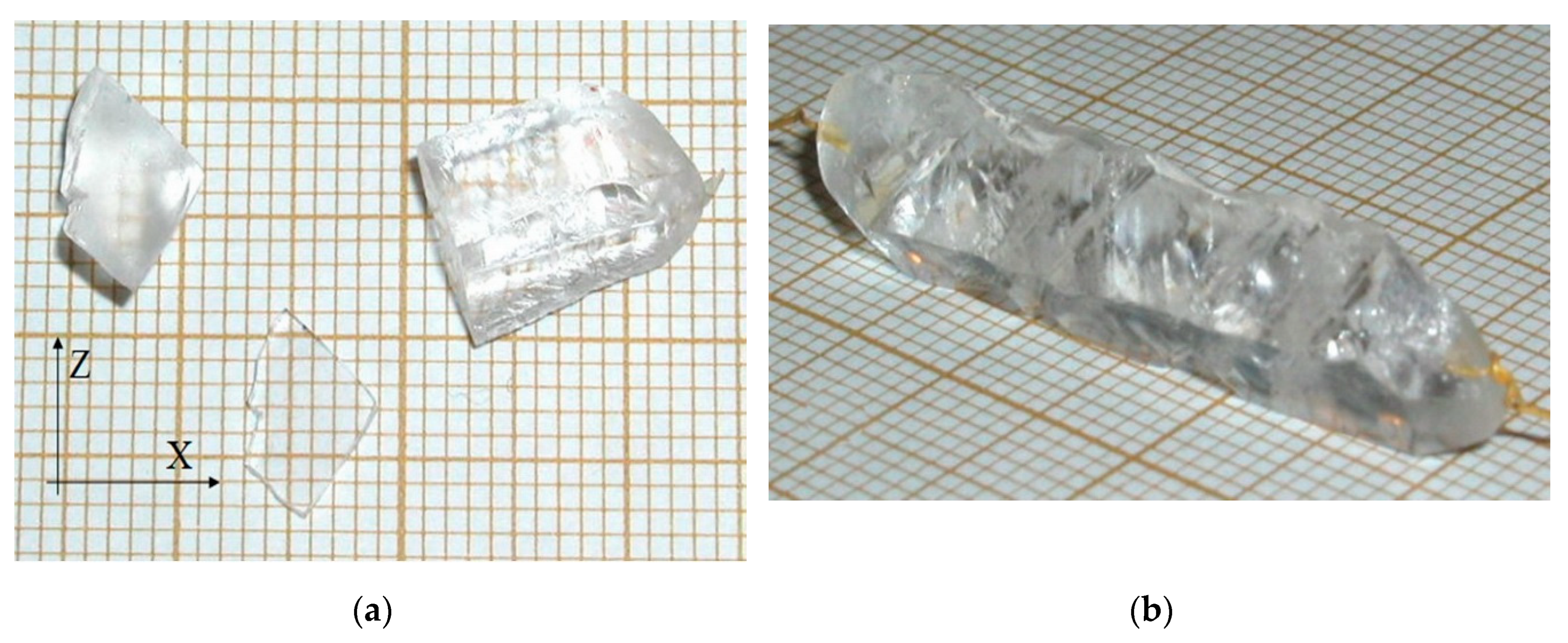 Molecules 25 04518 g006 Molecules 25 04518 g006