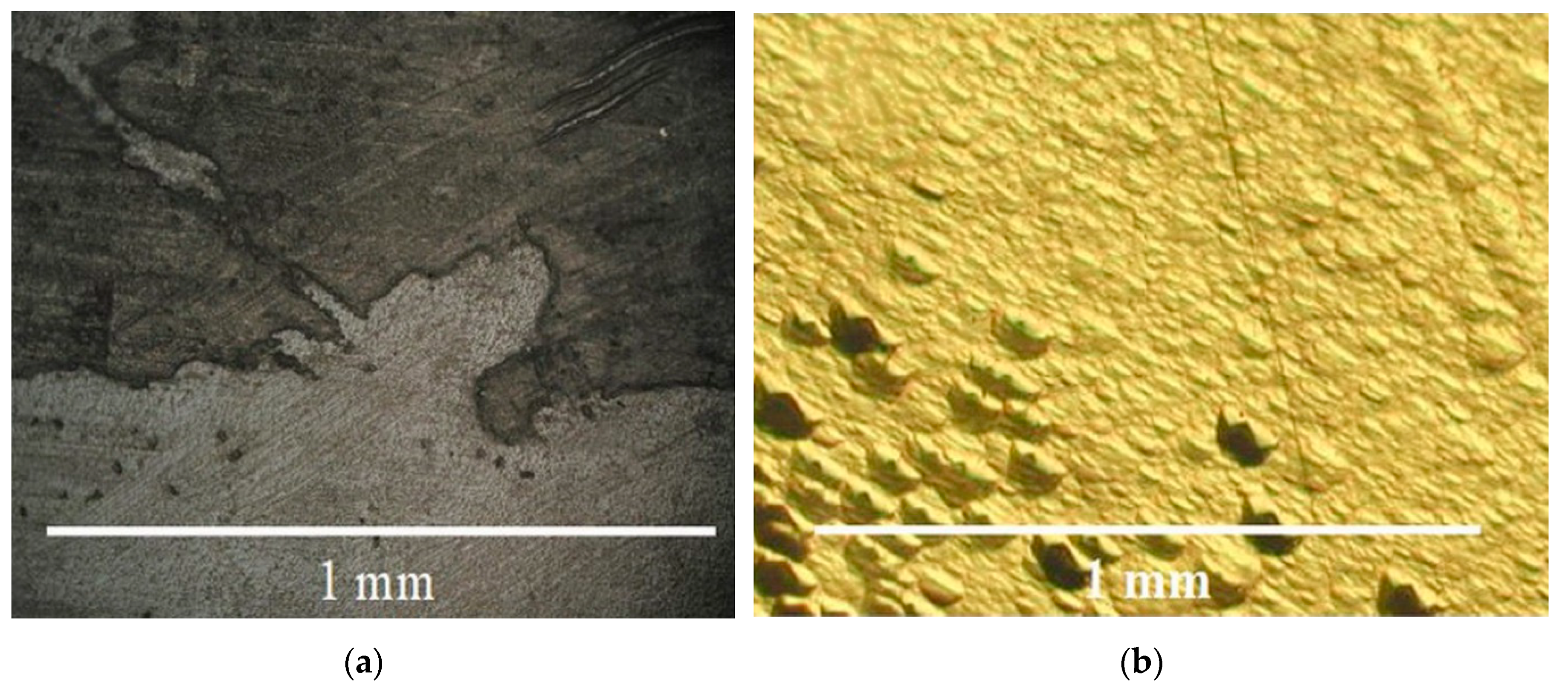 Molecules 25 04518 g007 Molecules 25 04518 g007