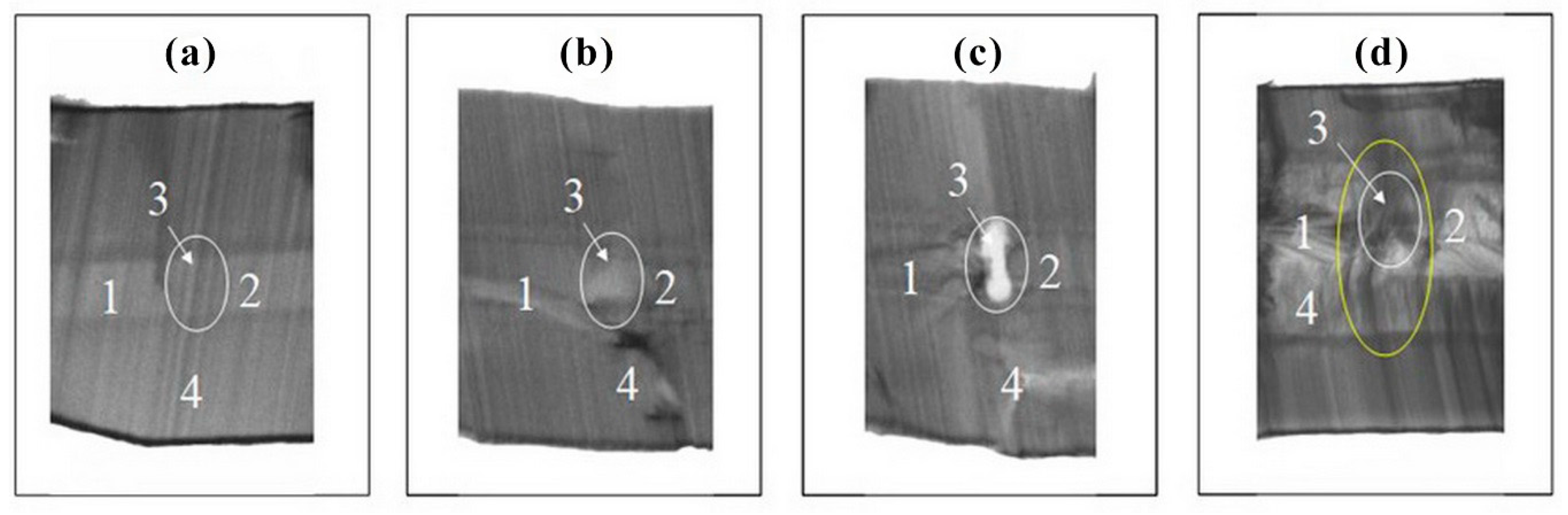 Molecules 25 04518 g008 Molecules 25 04518 g008