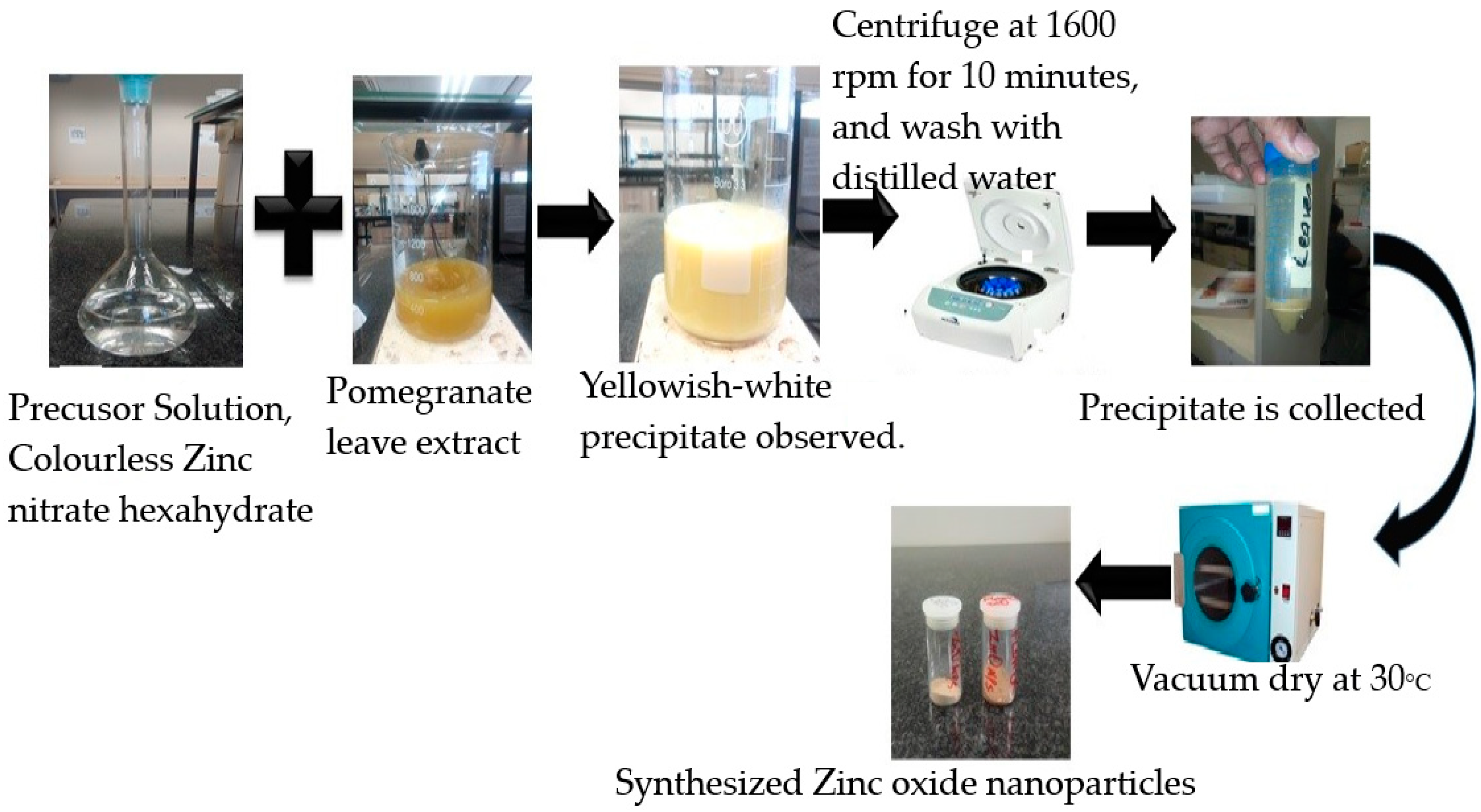 Molecules 25 04521 g002