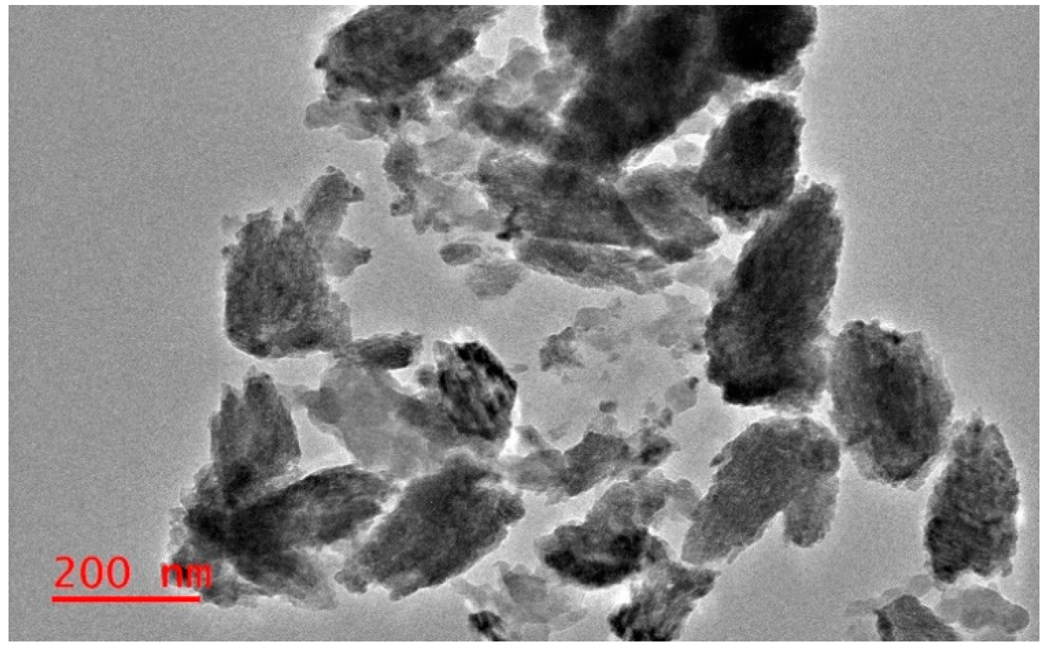 Molecules 25 04521 g004