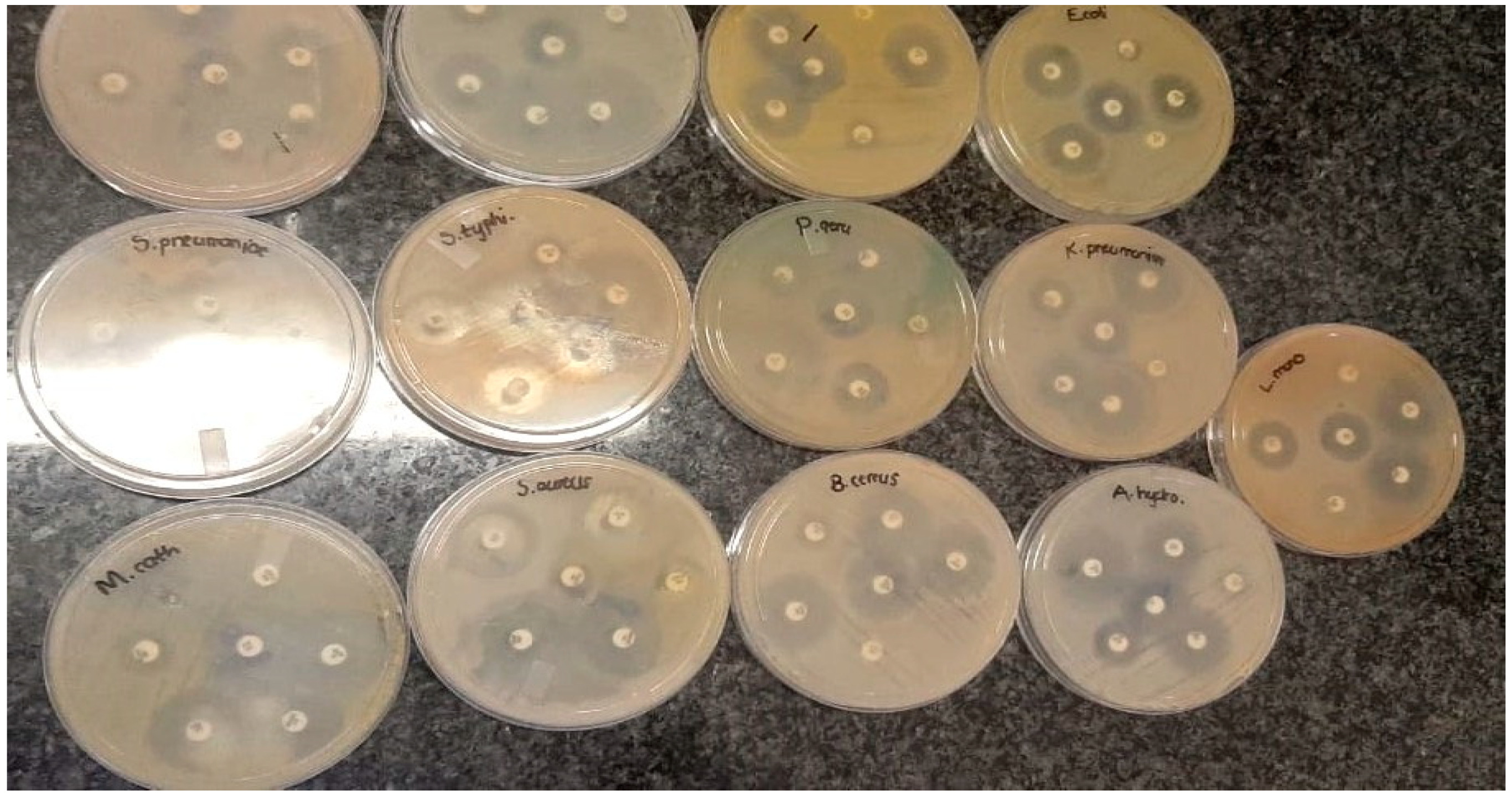 Molecules 25 04521 g010