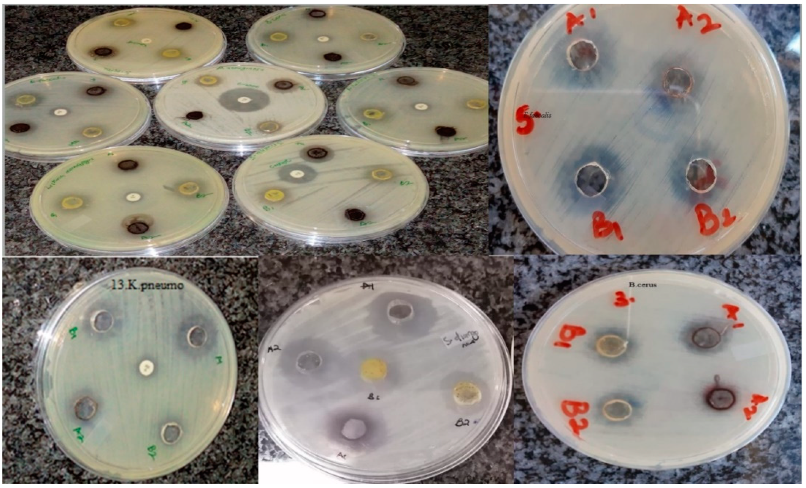 Molecules 25 04521 g011