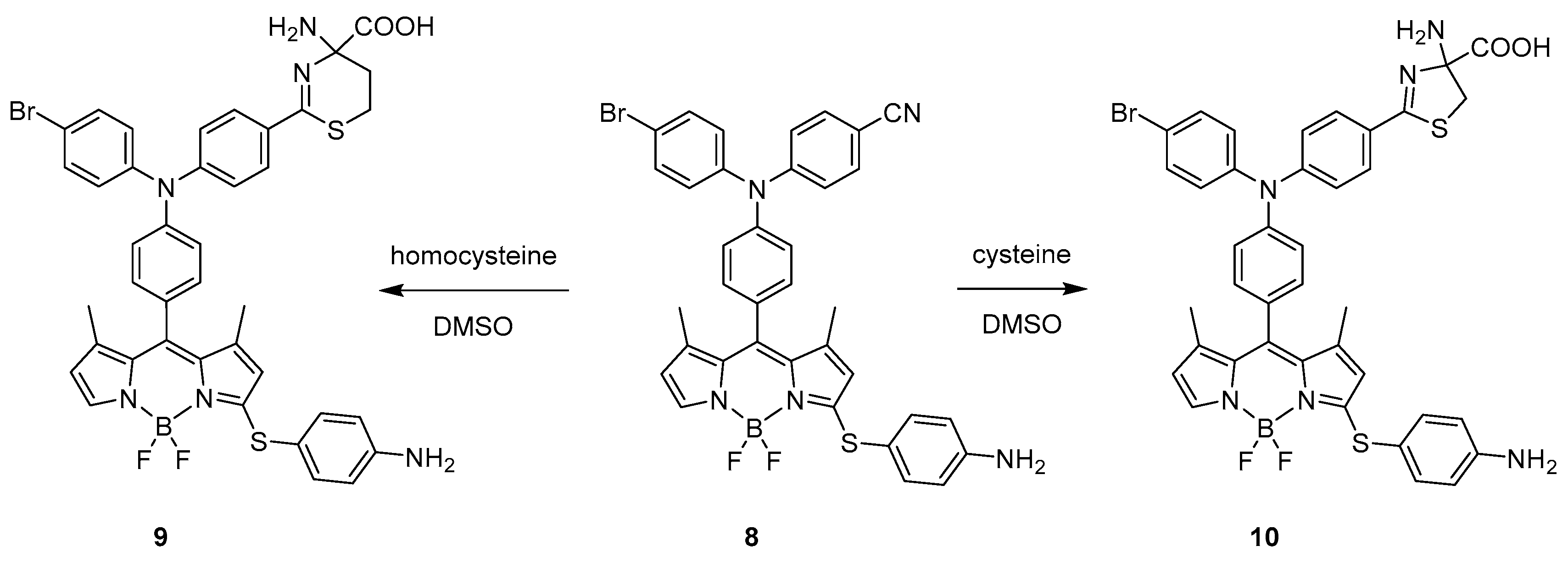 Molecules 25 04523 sch007 Molecules 25 04523 sch007