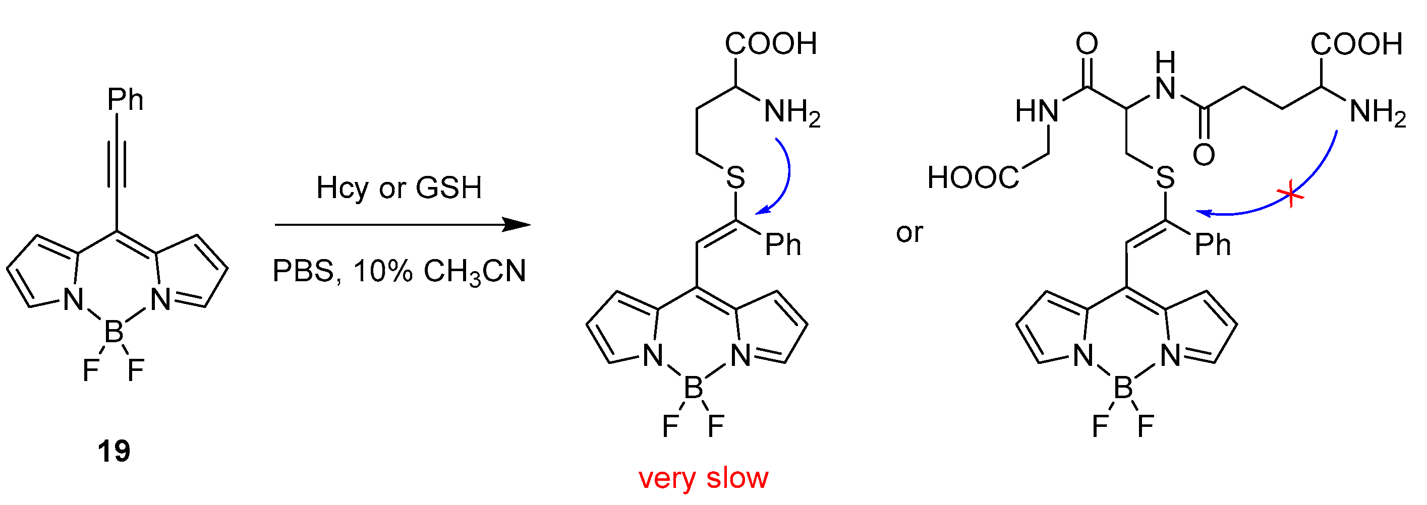 Molecules 25 04523 sch012 Molecules 25 04523 sch012