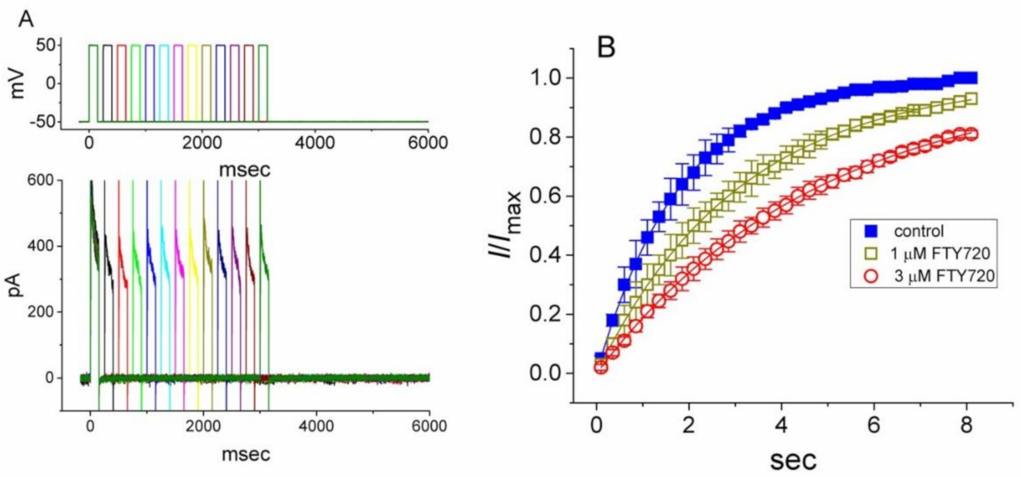 Molecules 25 04525 g004 Molecules 25 04525 g004