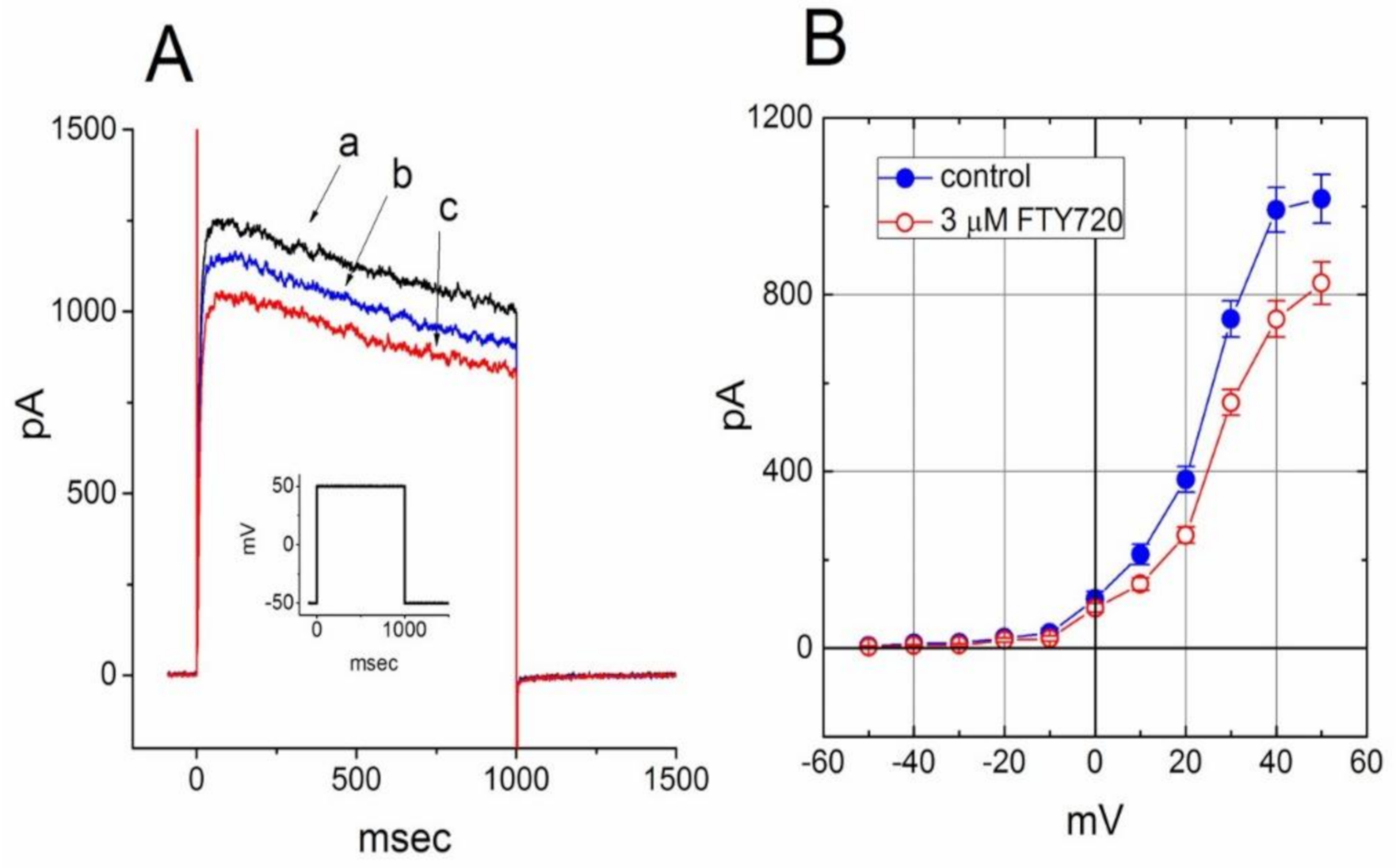 Molecules 25 04525 g008 Molecules 25 04525 g008