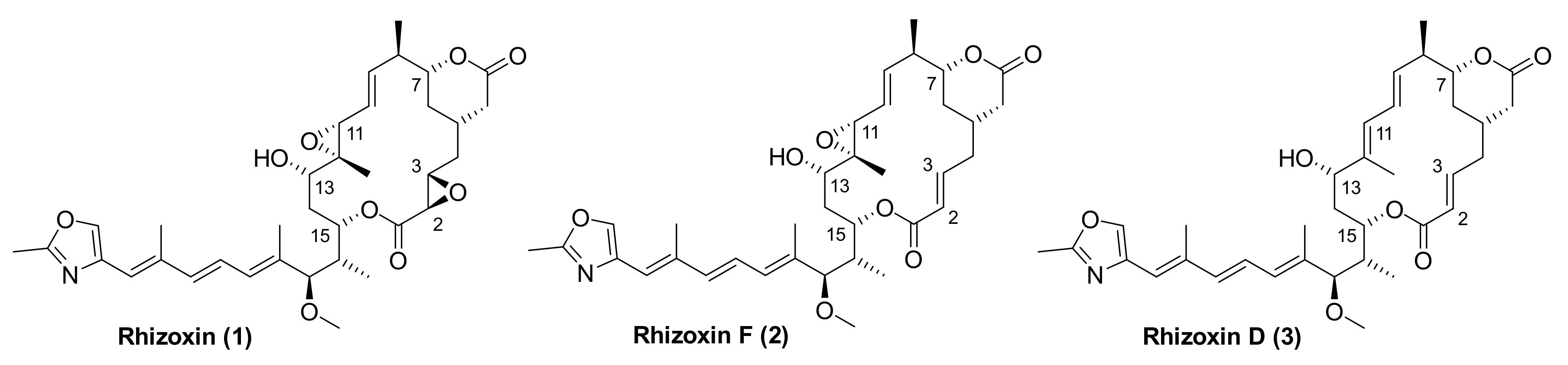 Molecules 25 04527 g001 Molecules 25 04527 g001