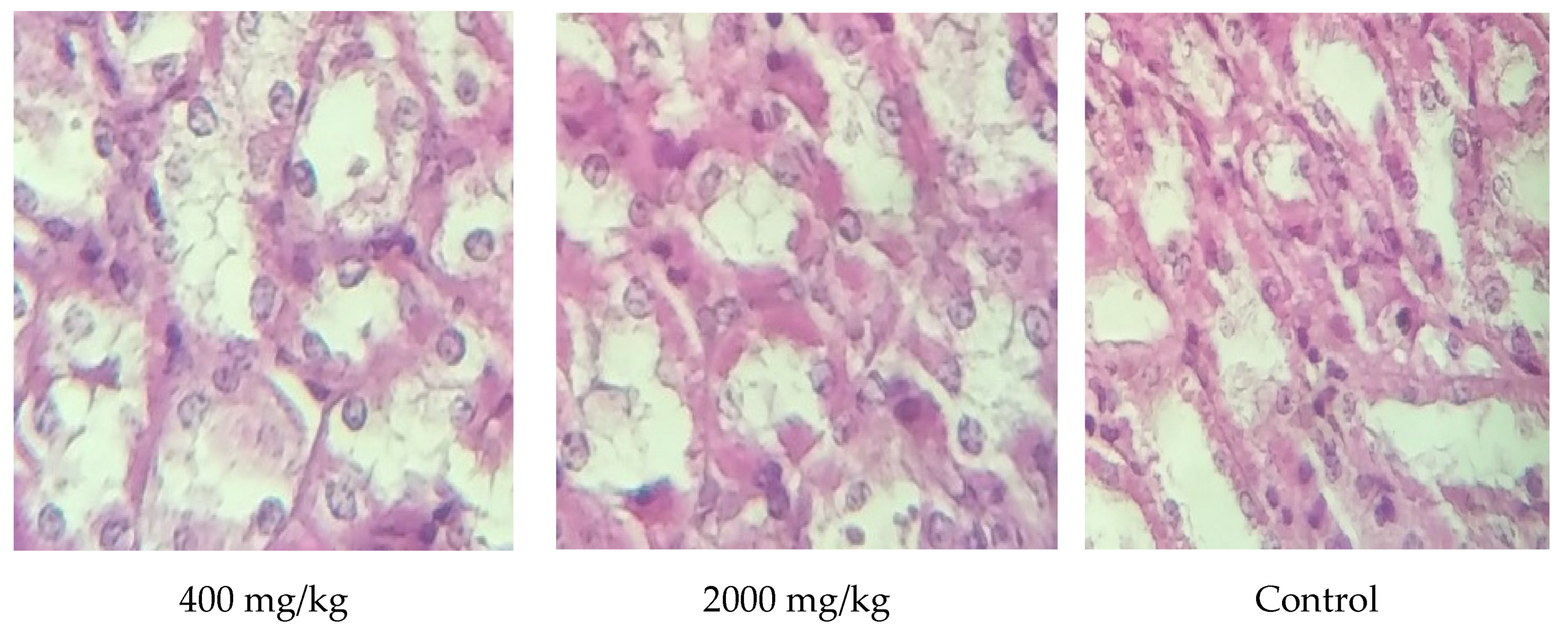 Molecules 25 04528 g008 Molecules 25 04528 g008