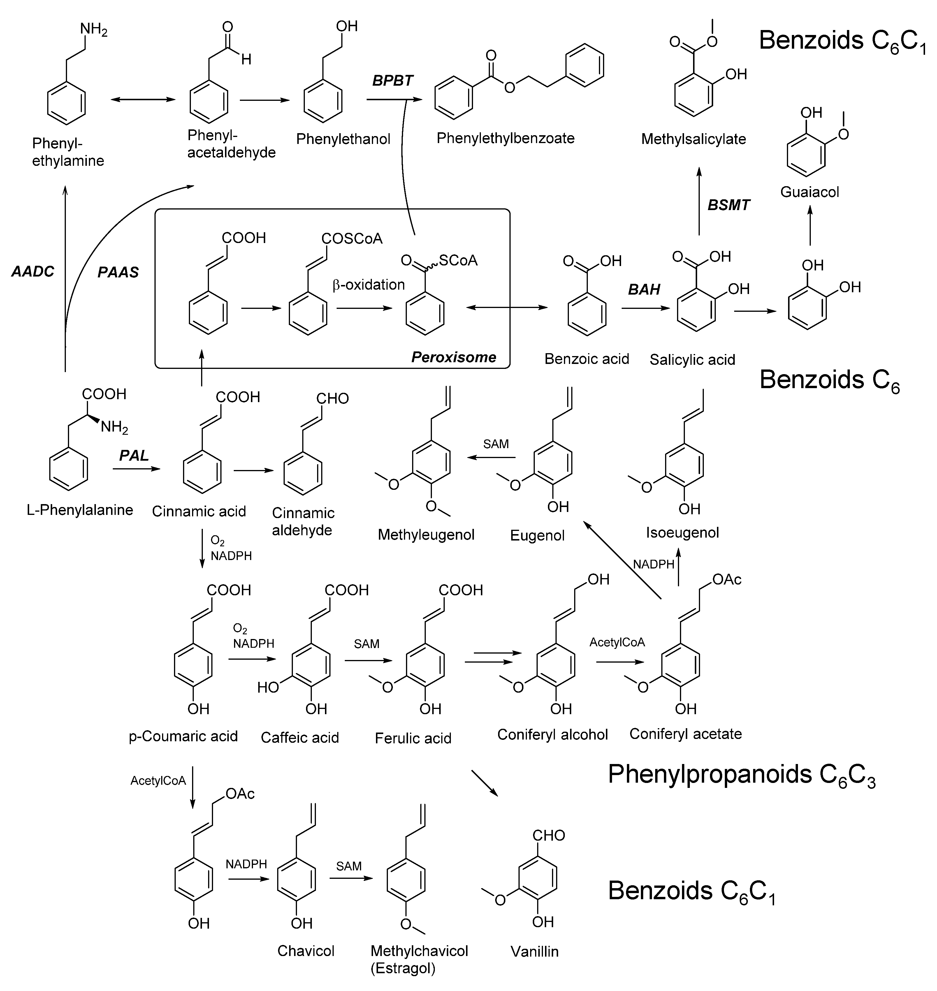 Molecules 25 04529 g002 Molecules 25 04529 g002