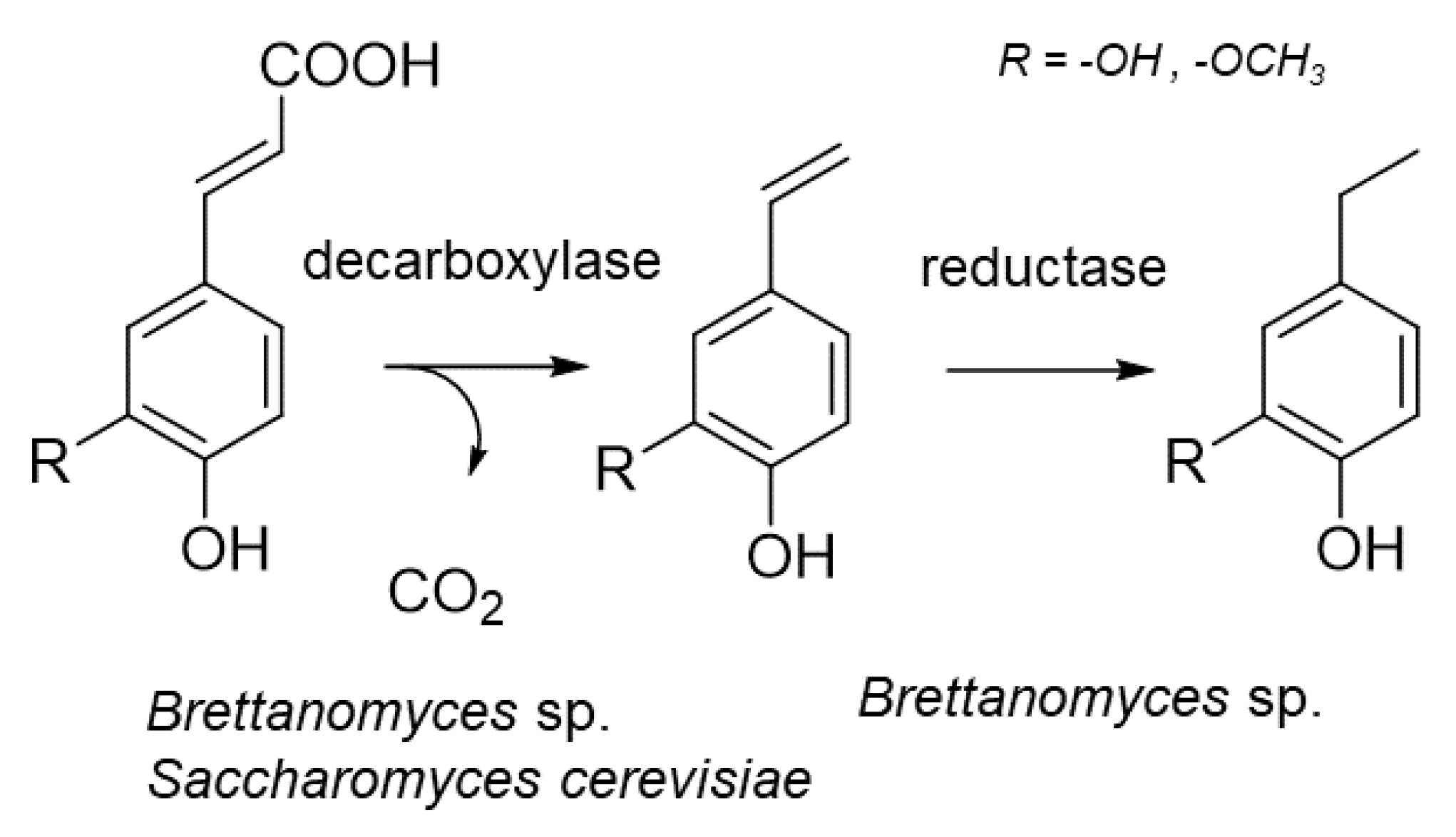 Molecules 25 04529 g003 Molecules 25 04529 g003