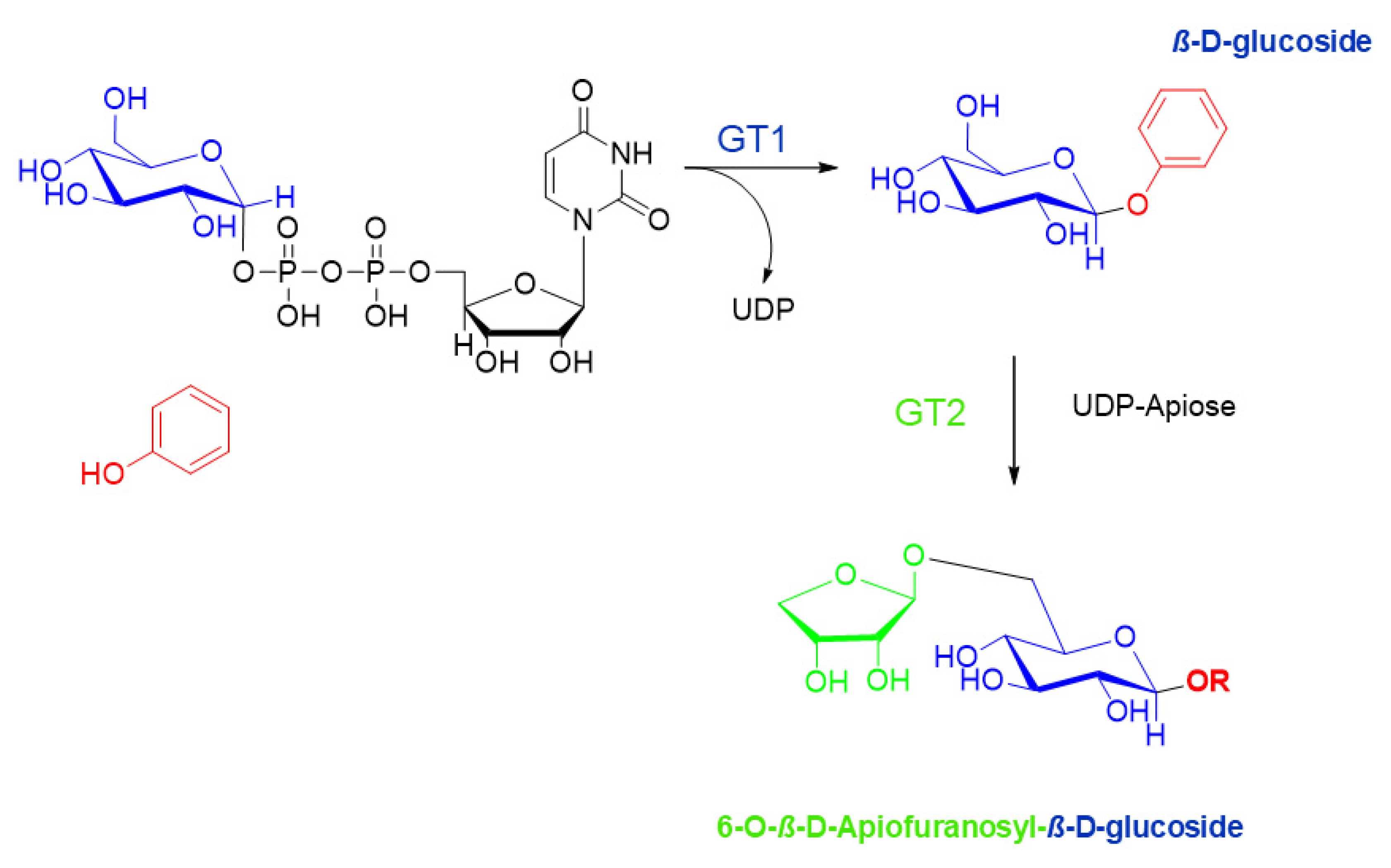 Molecules 25 04529 g007 Molecules 25 04529 g007