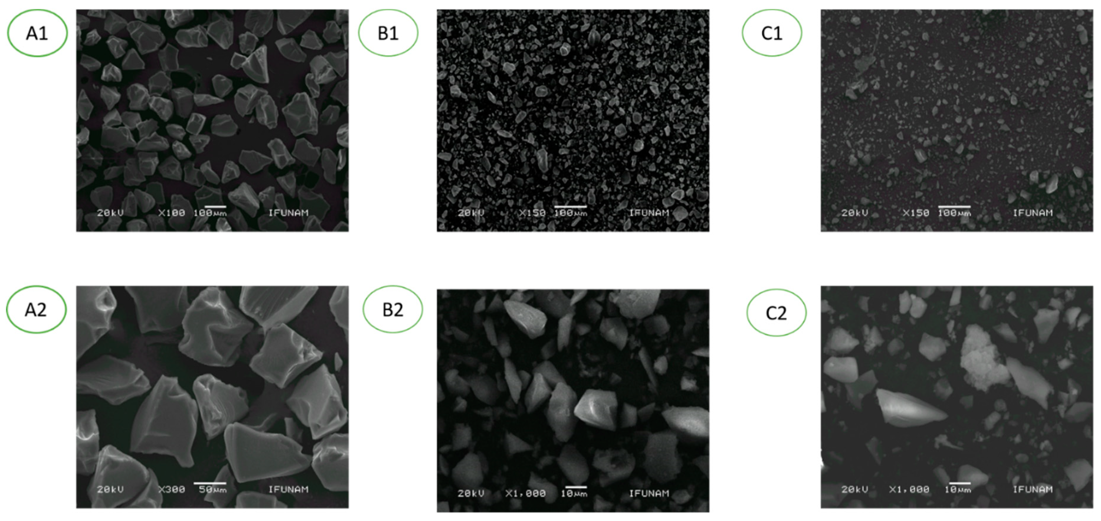 Molecules 25 04532 g002a