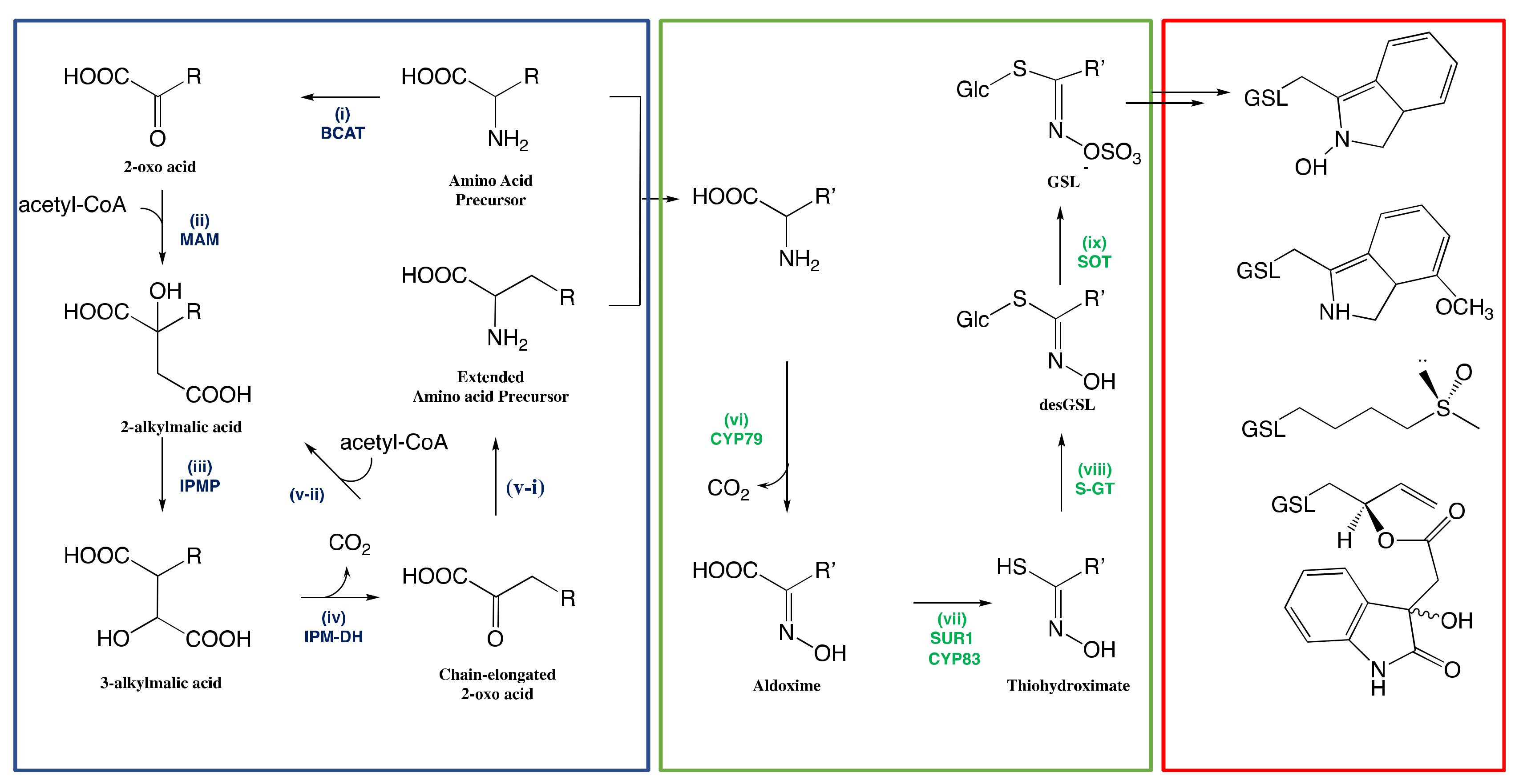 Molecules 25 04537 g002