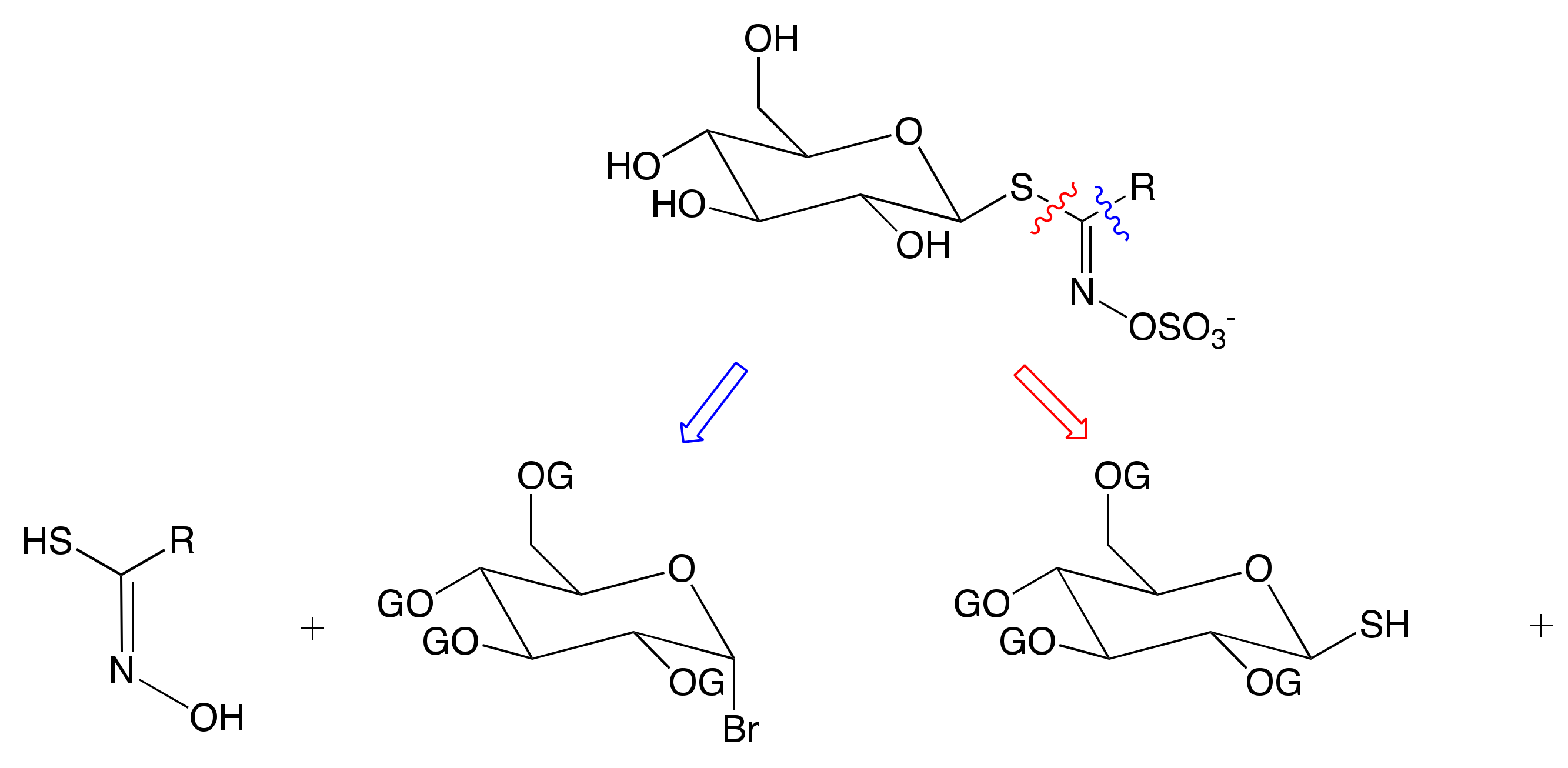 Molecules 25 04537 g004