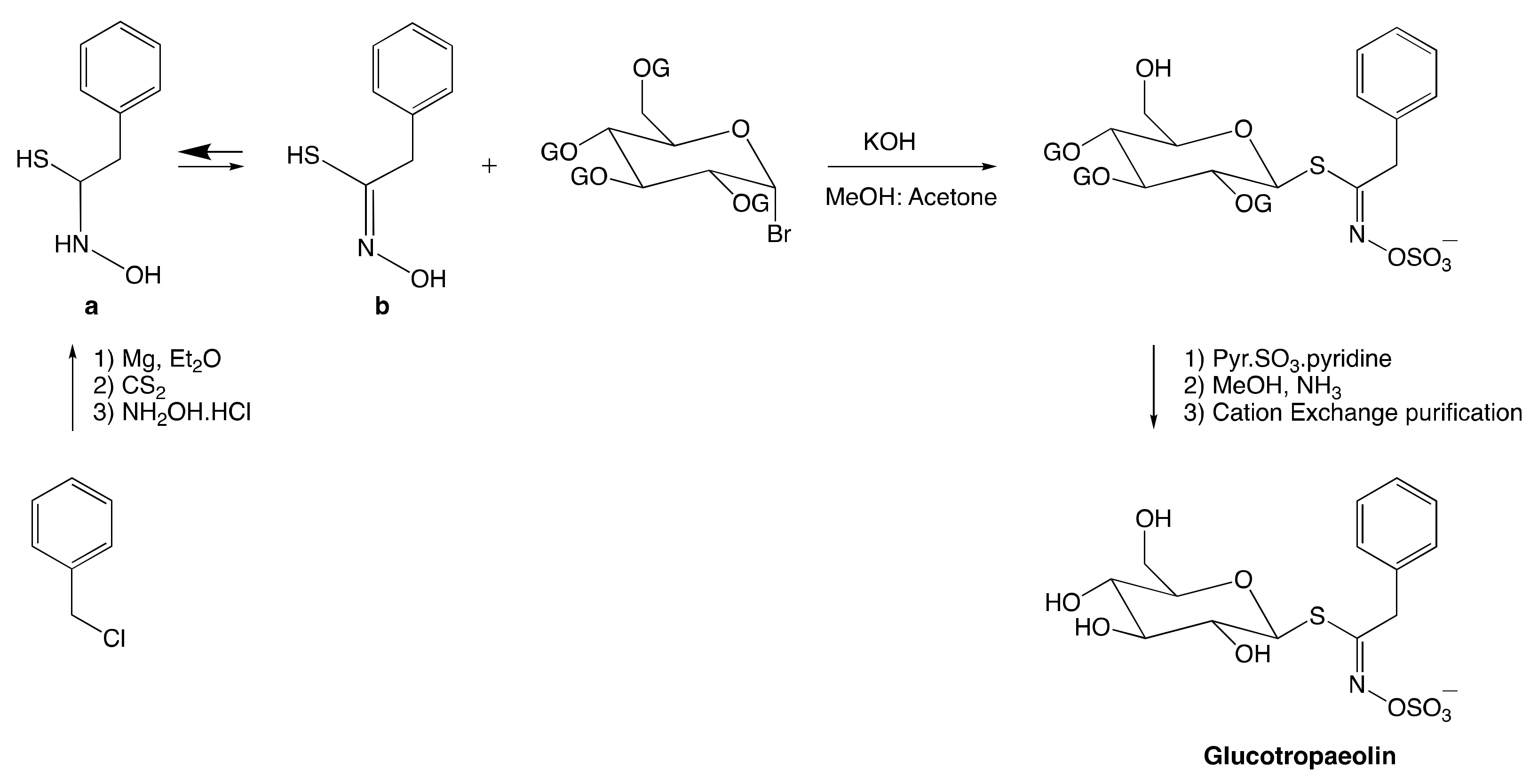 Molecules 25 04537 g005