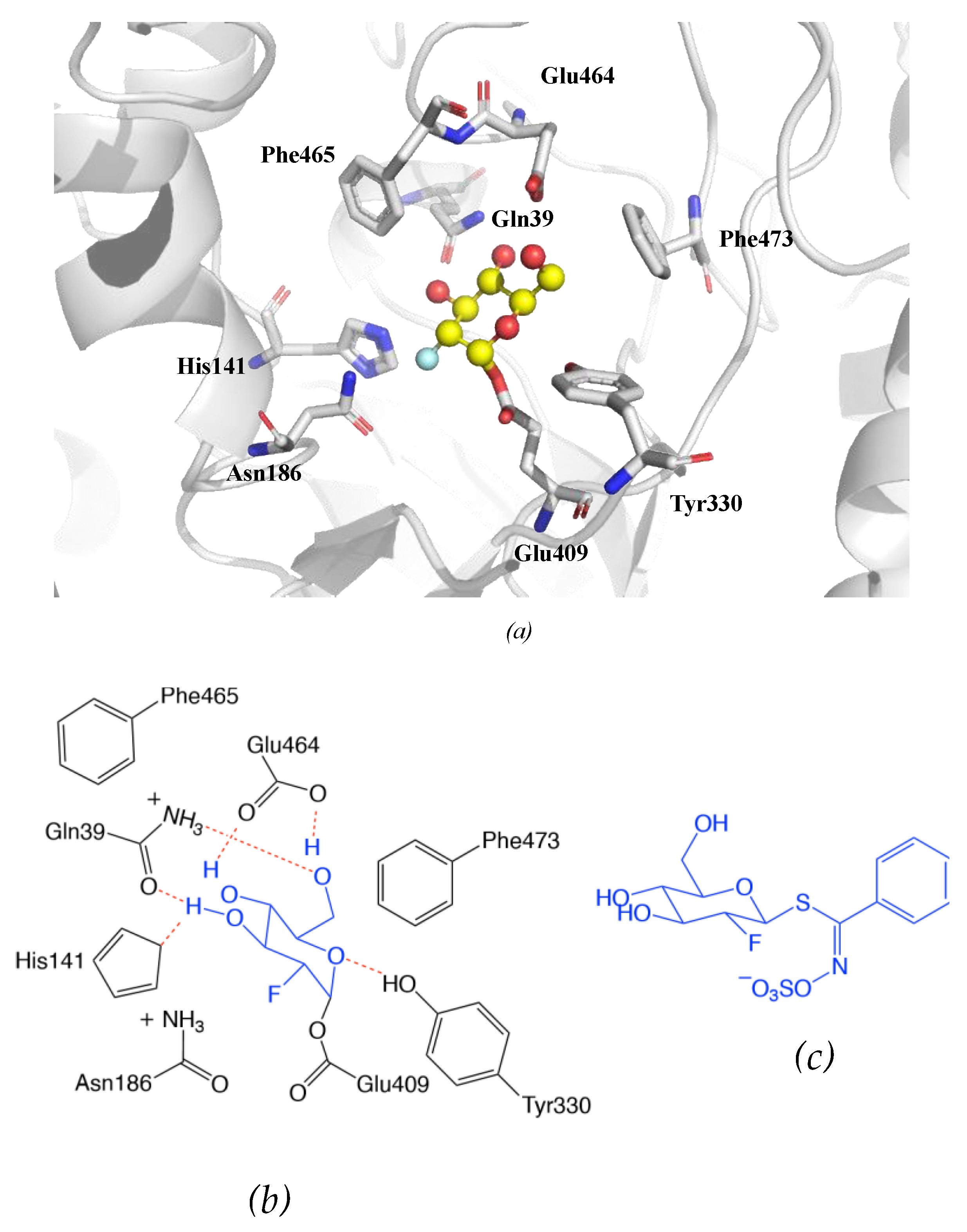 Molecules 25 04537 g009