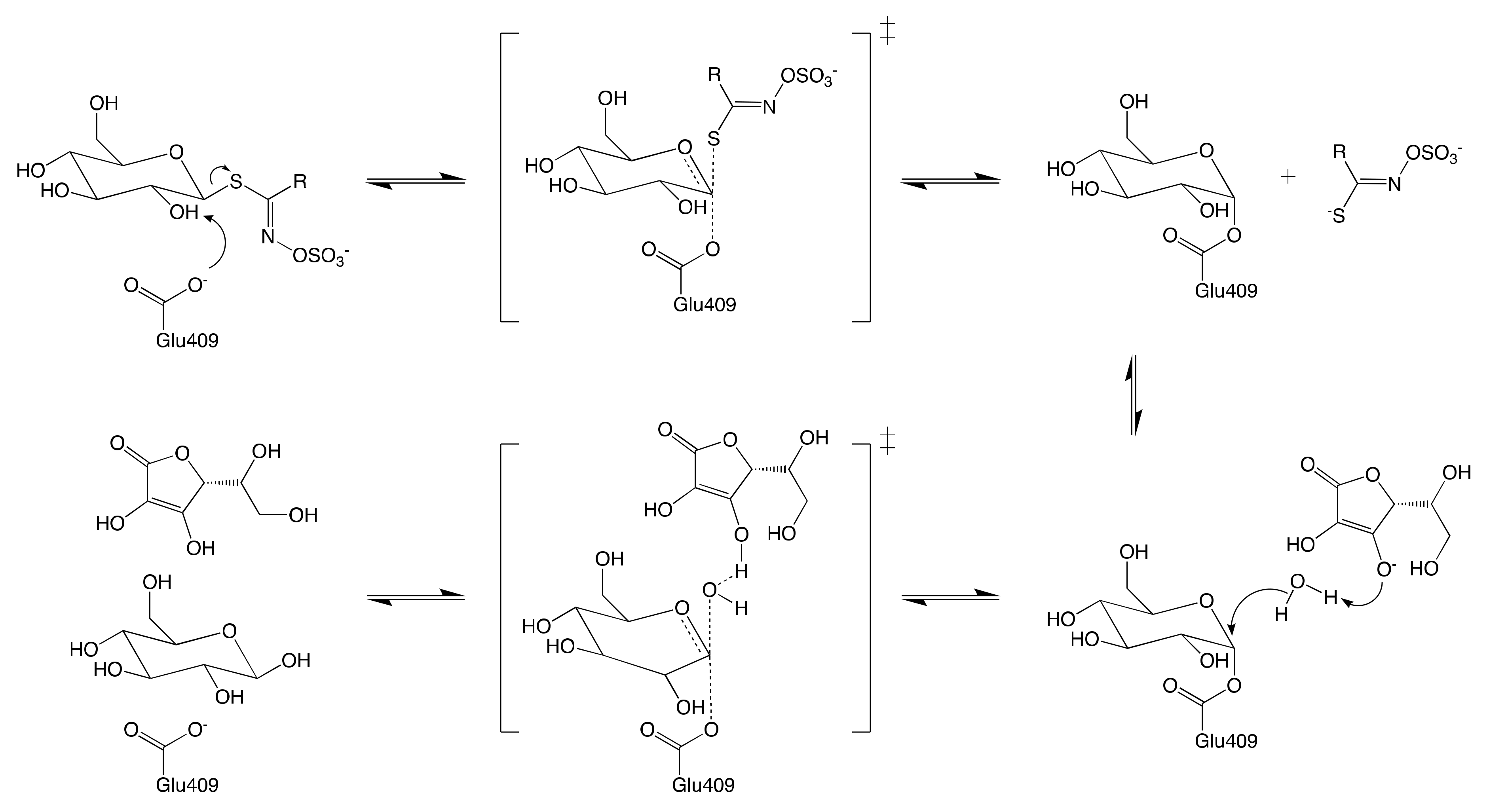 Molecules 25 04537 g010