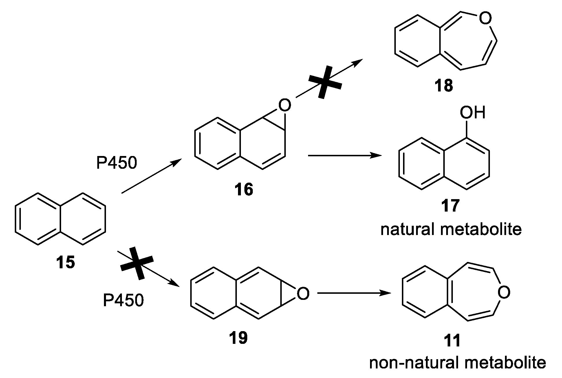 Molecules 25 04542 sch004 Molecules 25 04542 sch004